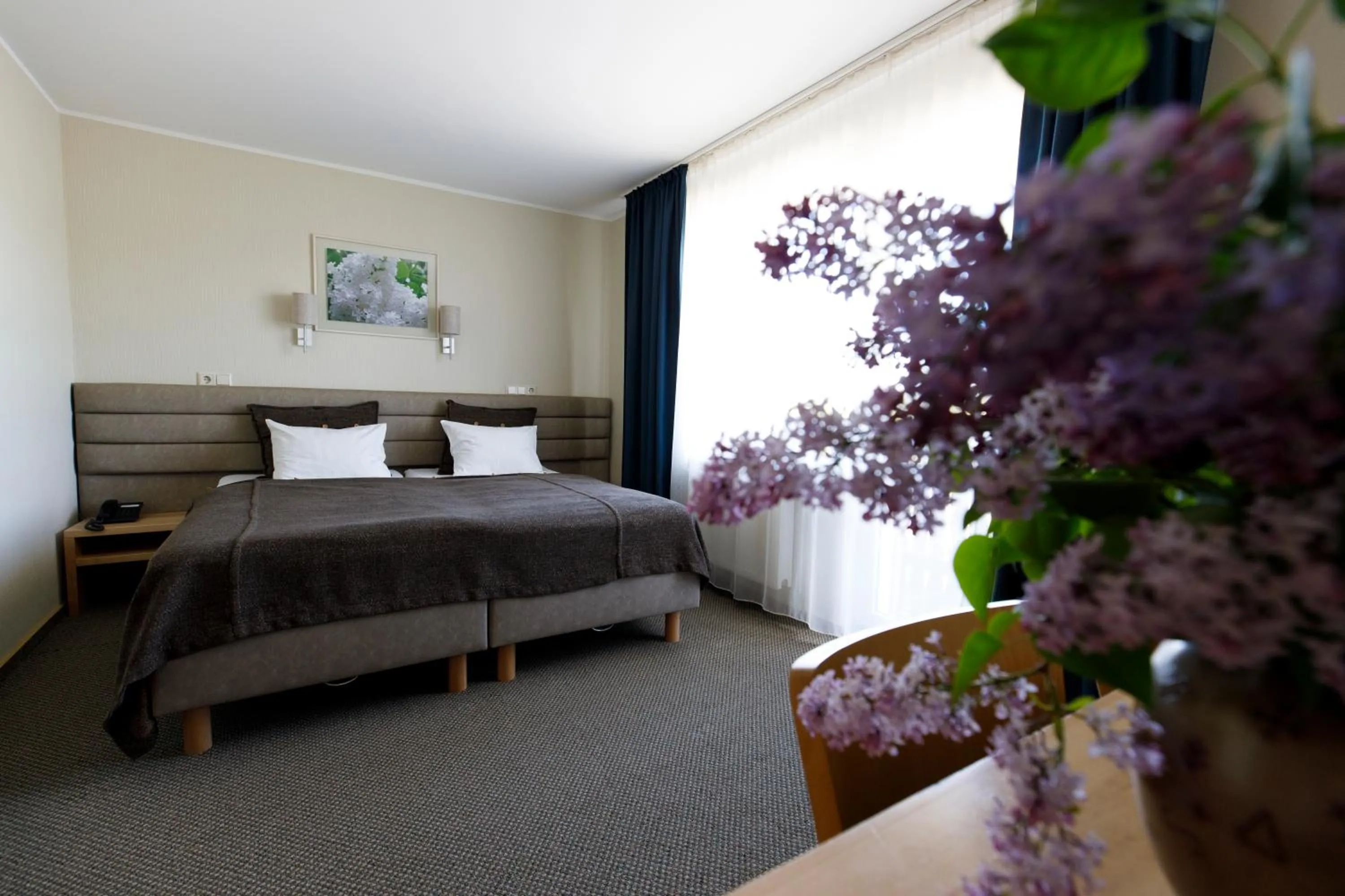 Standard Double Room in Spa Hotel Ezeri