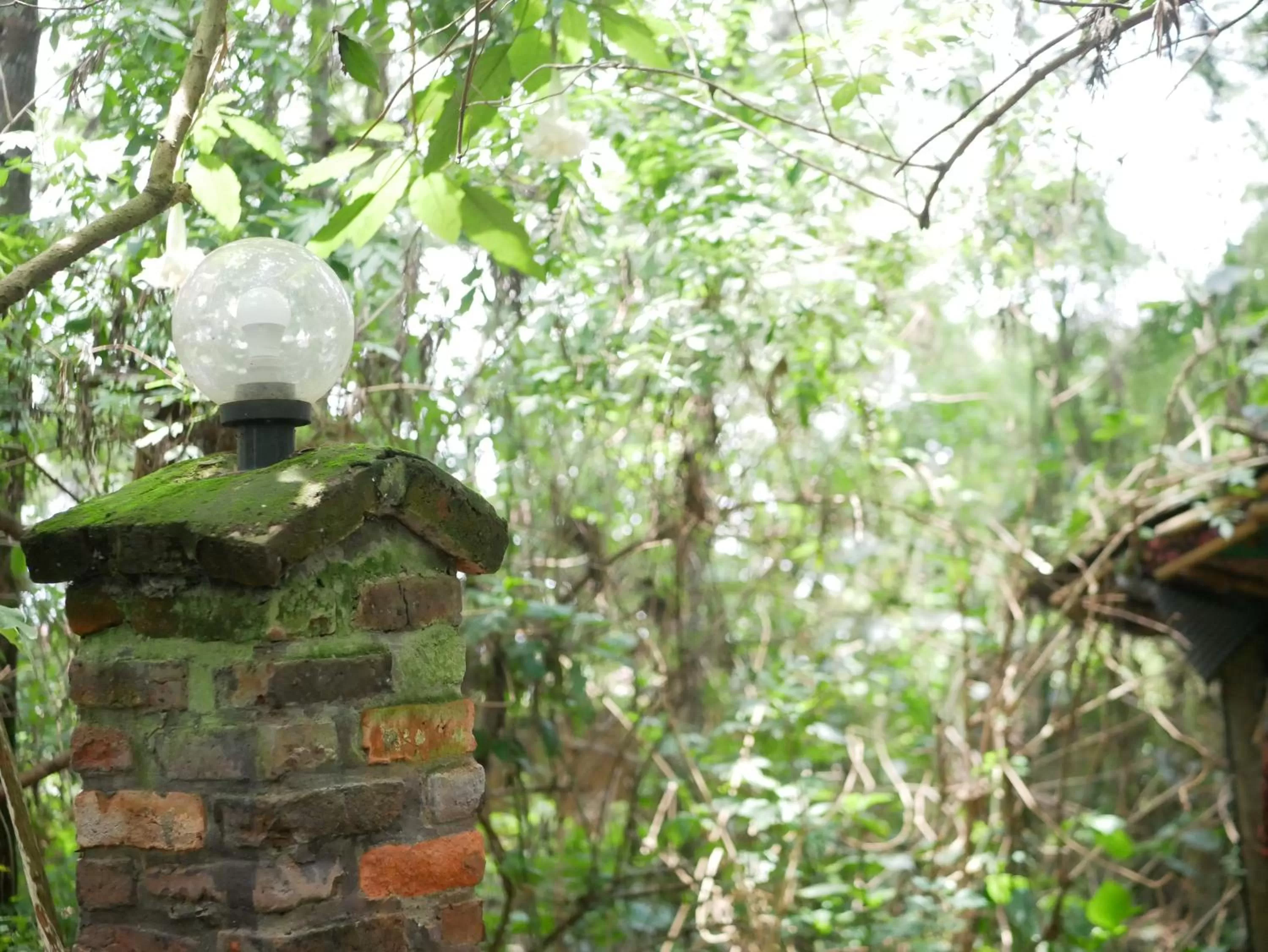 Garden in Fravan Eco Resort By Apogee