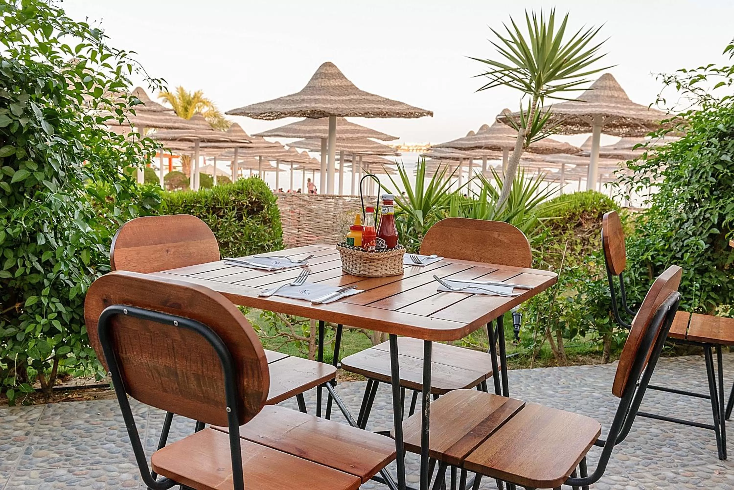 Restaurant/places to eat in Prima Life Makadi