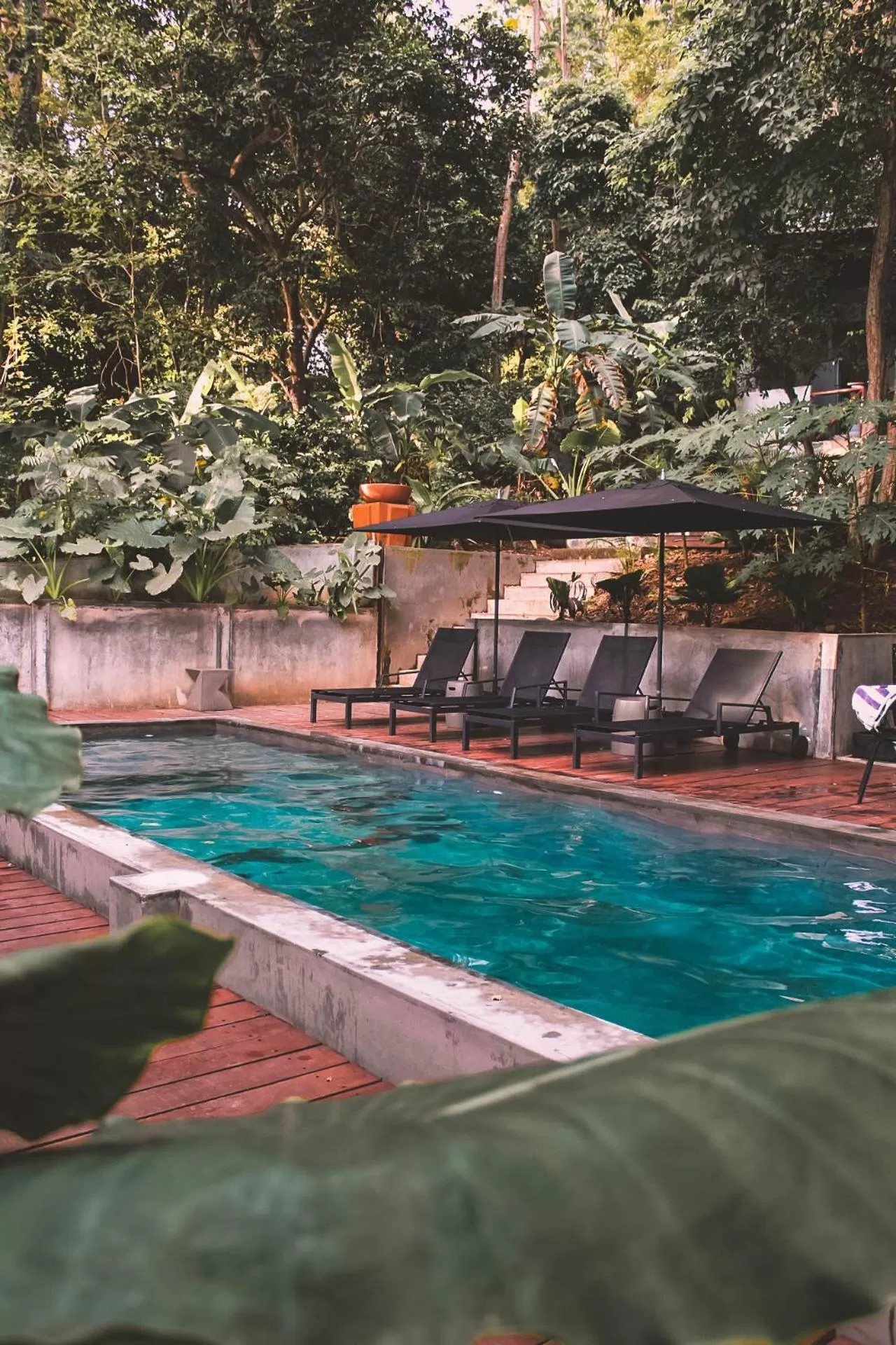 Natural landscape in Saboga Lodge