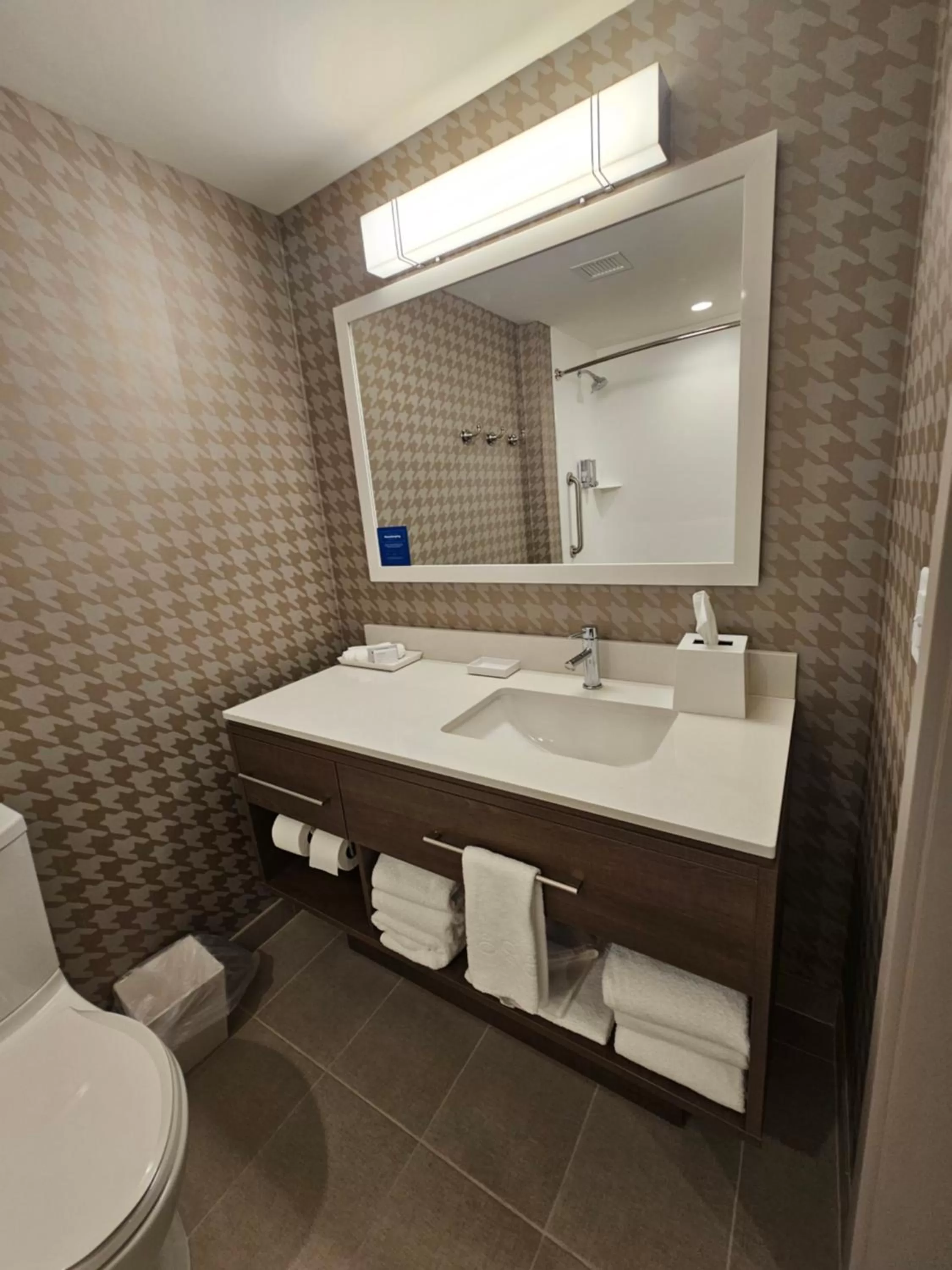 Toilet in Home2 Suites By Hilton Allentown Bethlehem Airport