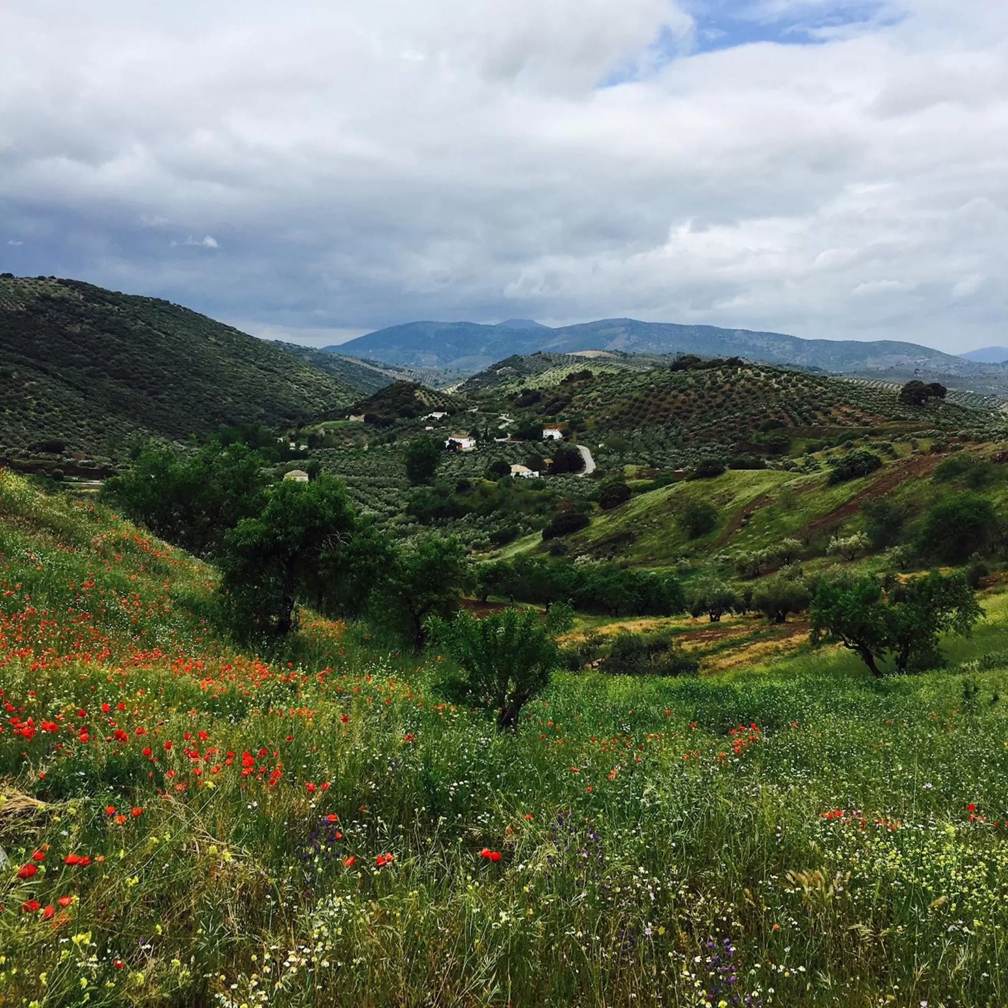 Spring, Natural Landscape in Atelier 88