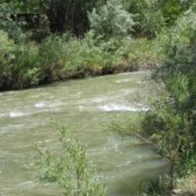 Natural landscape in Quiet FULL-SIZE bed close to town 420 friendly