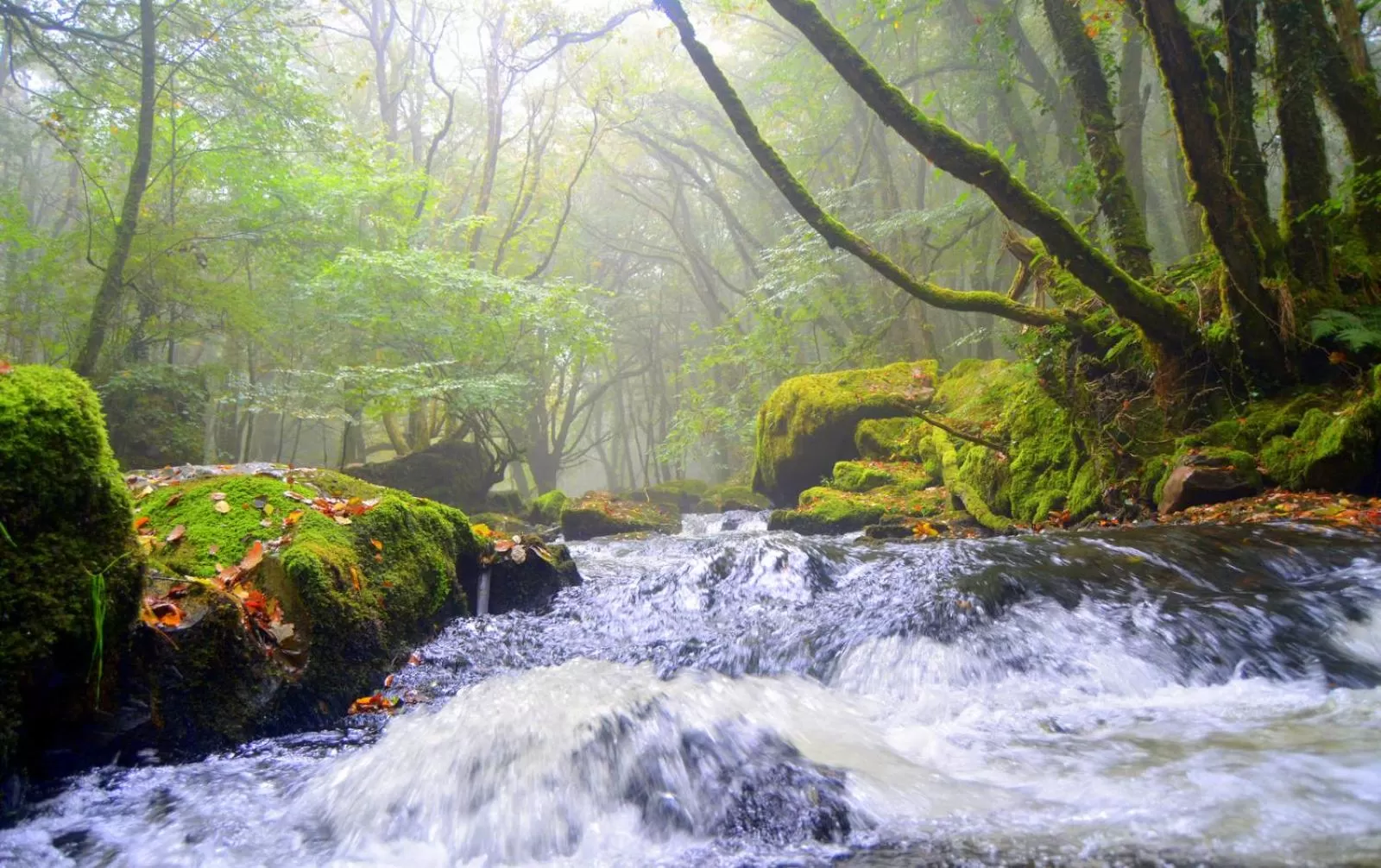 Natural landscape in The Creamery
