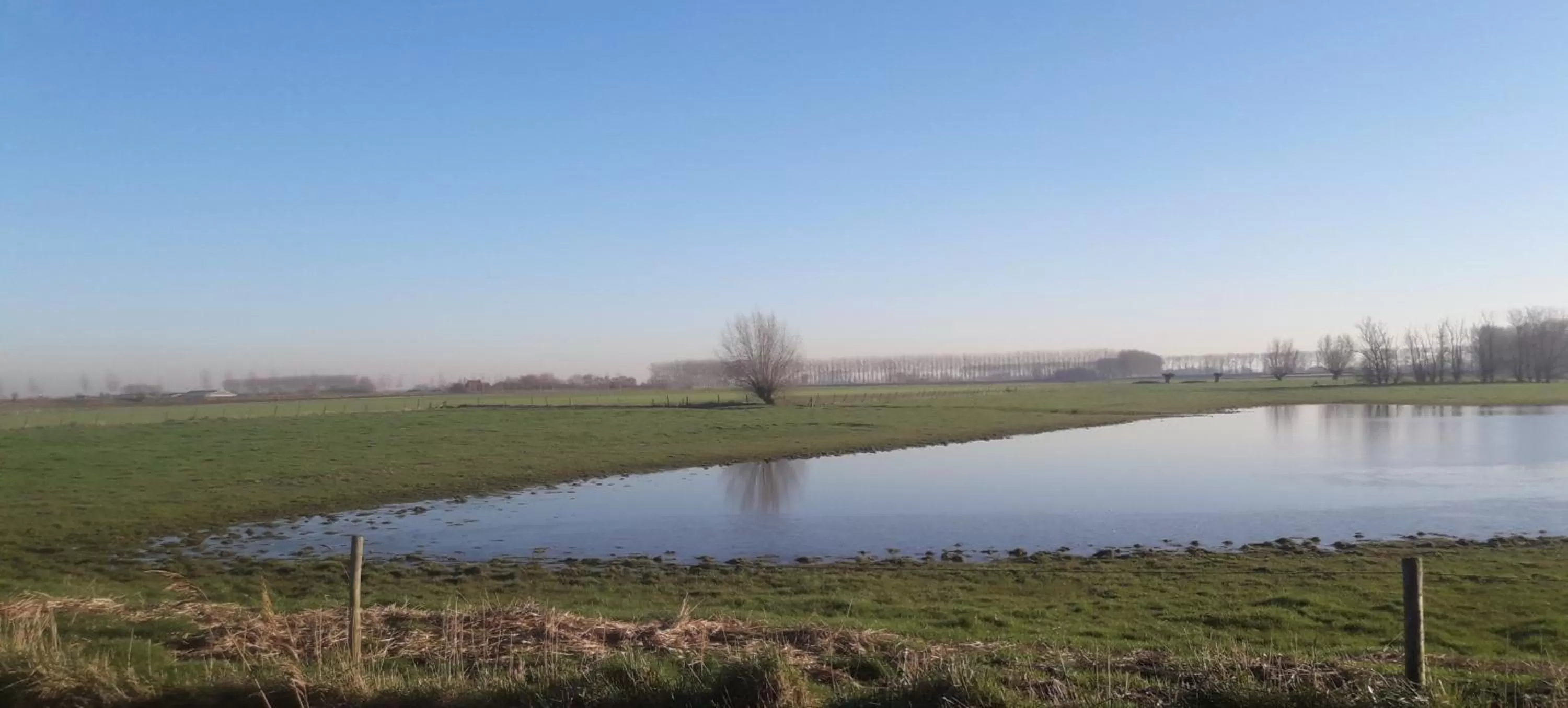 Natural landscape in B&B De Hemelse Polder