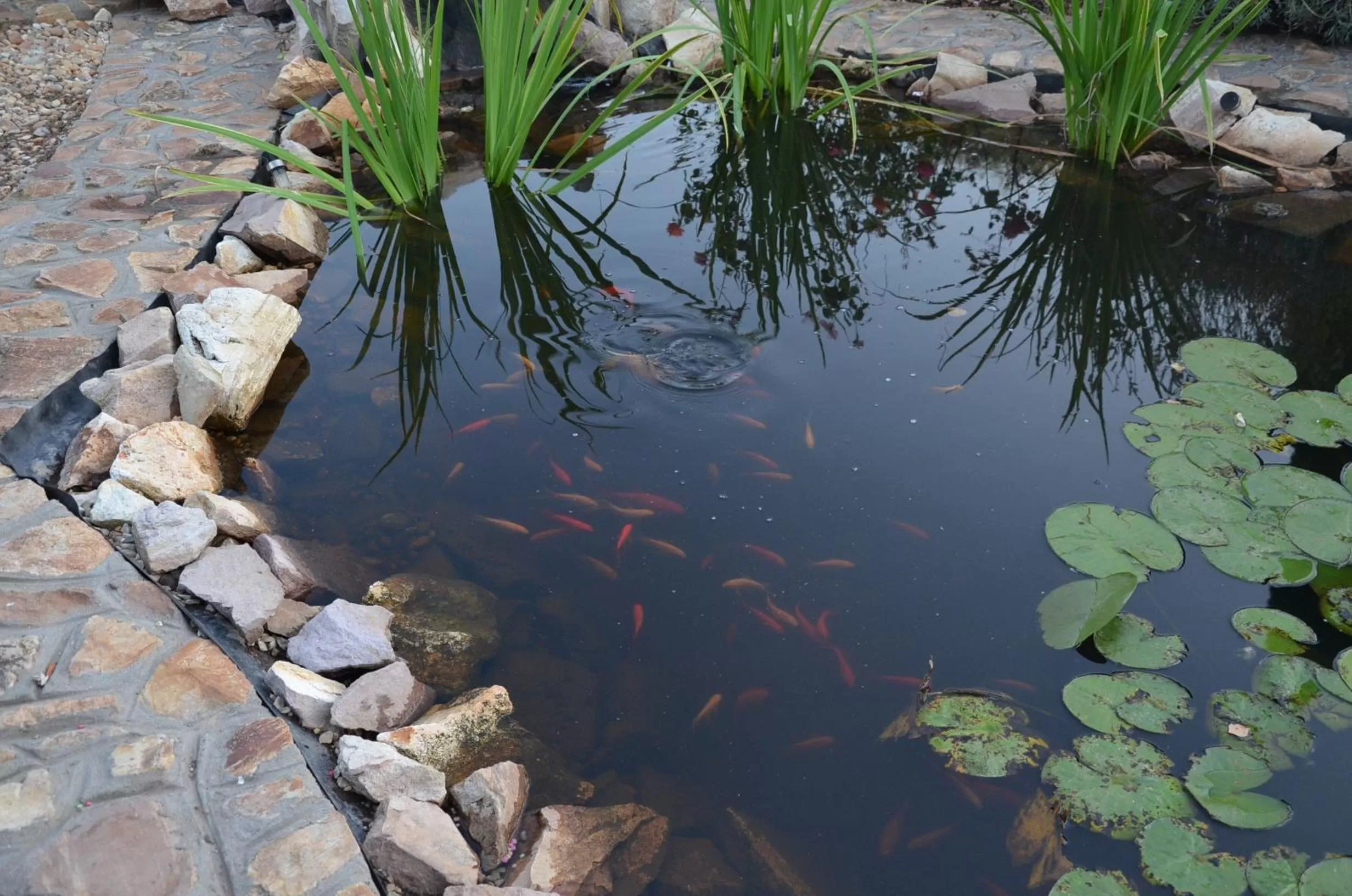 Garden Vendégház Makó