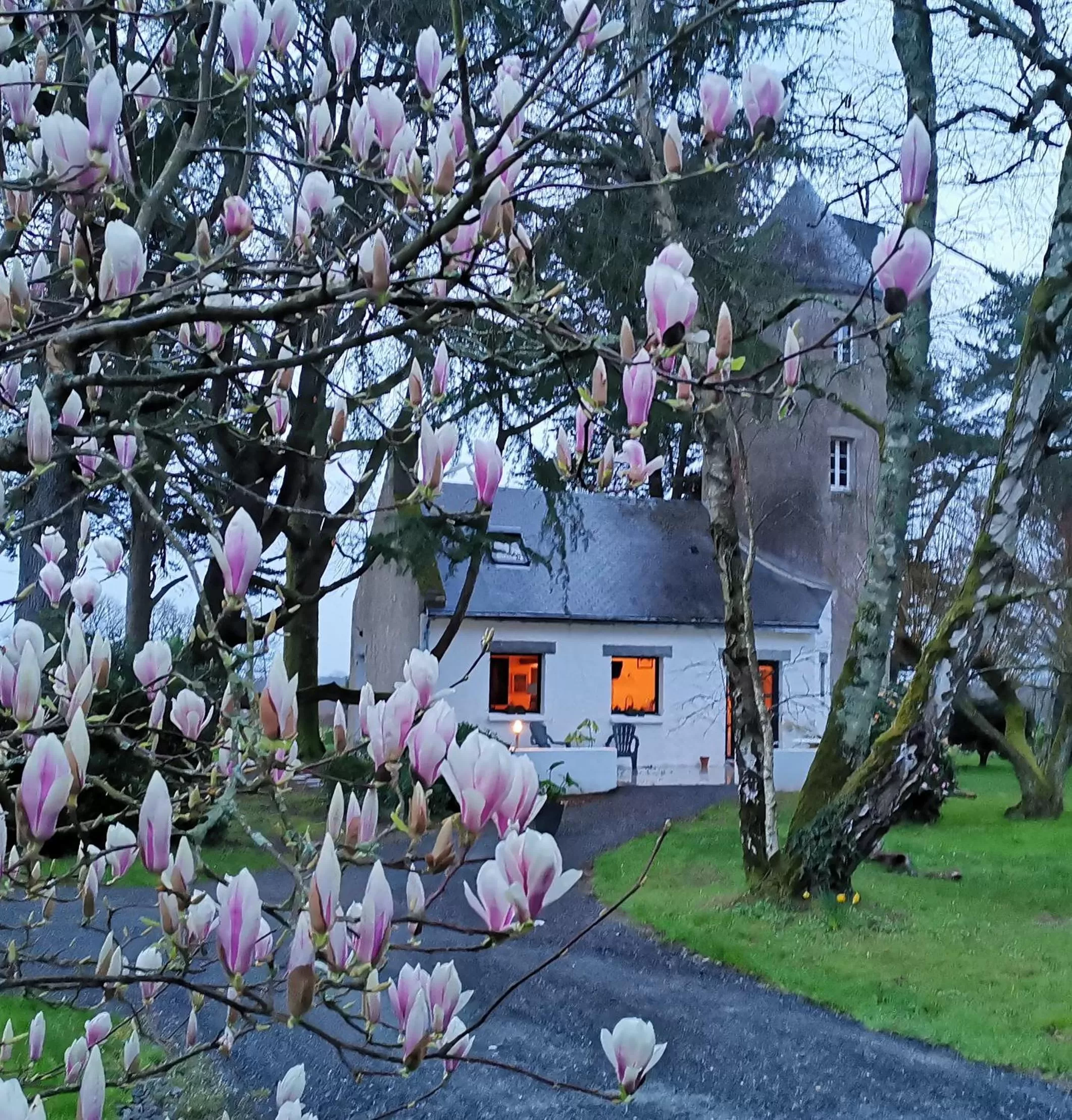 Property building, Garden in Le moulin de La Retardière