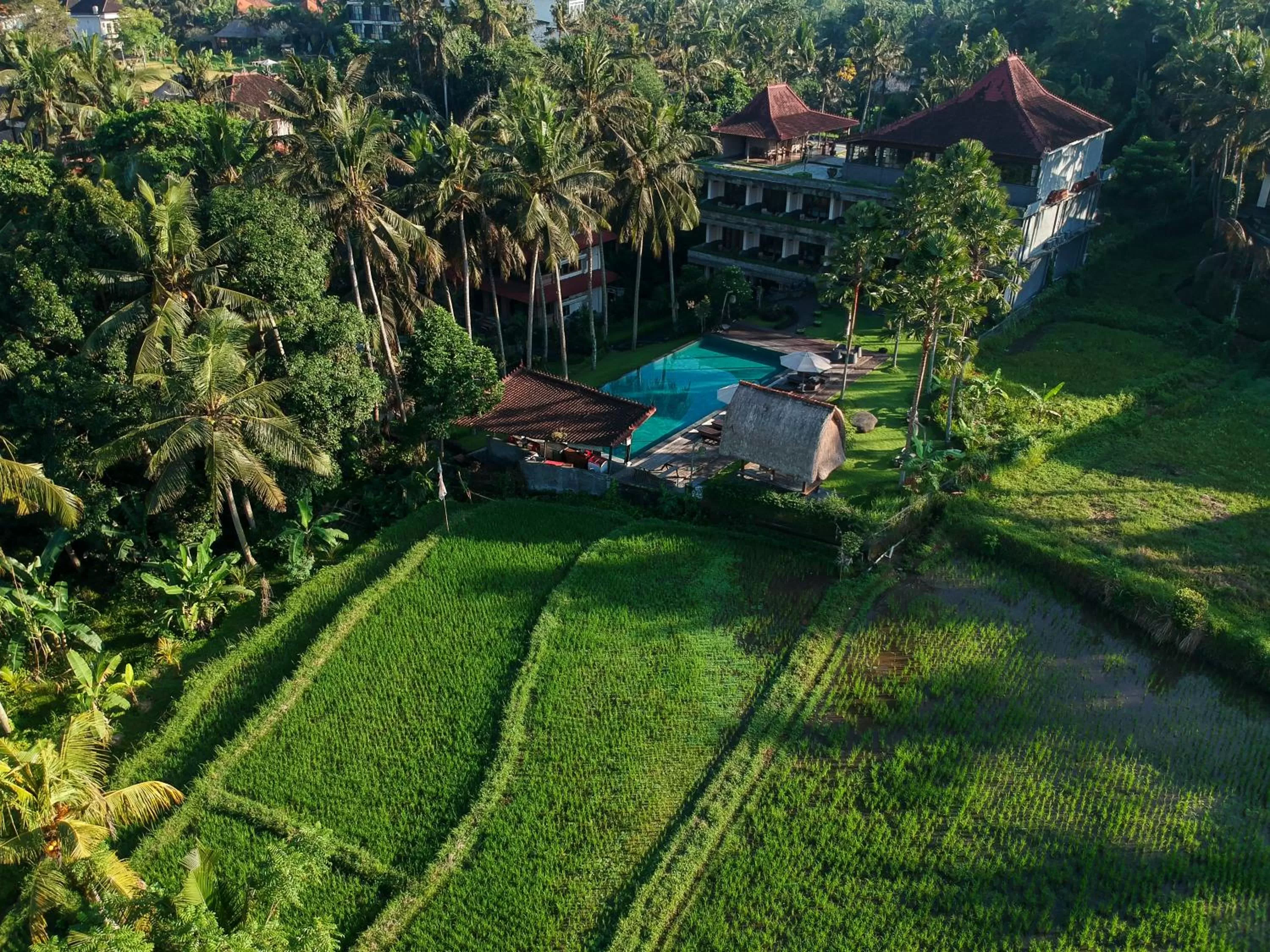 Property building in The Artini Dijiwa Ubud