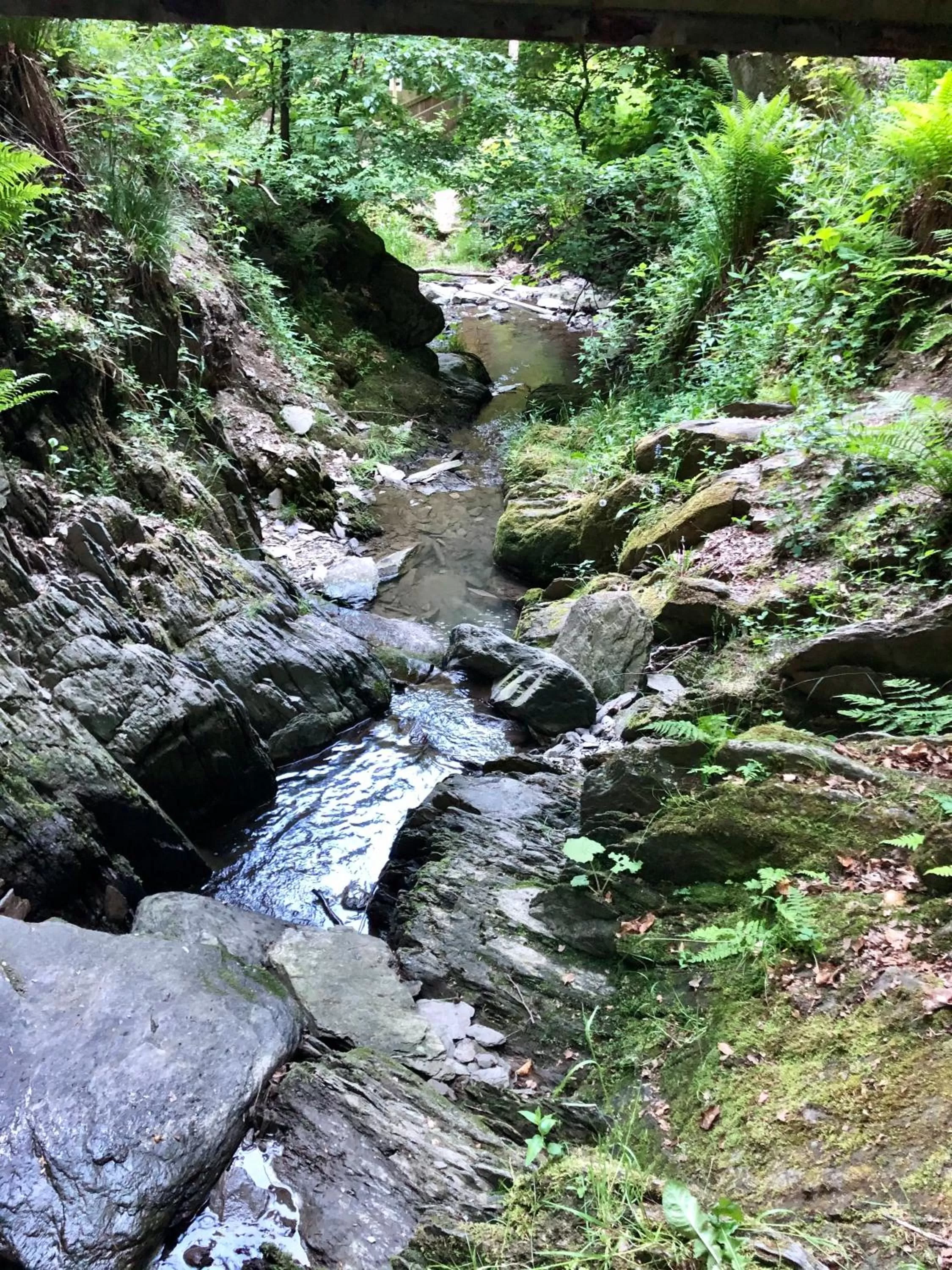 Berghotel Natura Bed & Breakfast