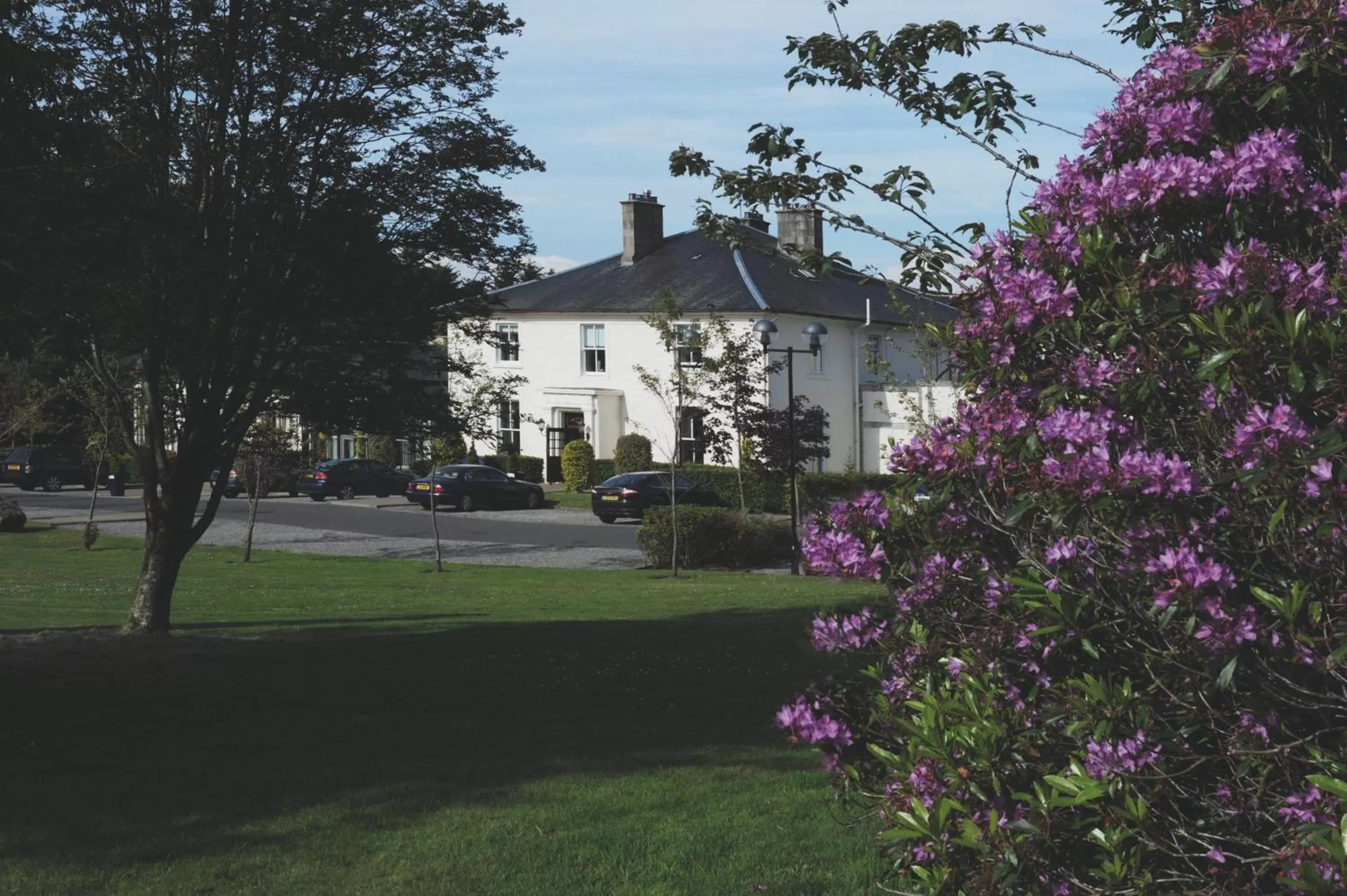 Facade/entrance in Macdonald Crutherland House