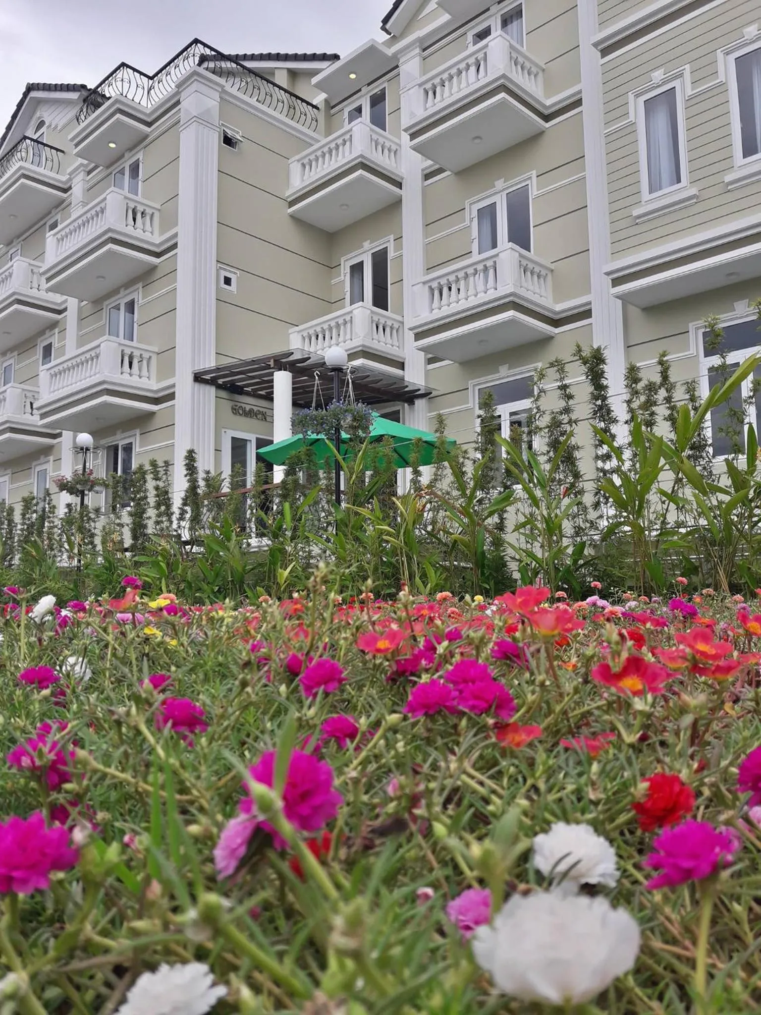 Spring in Golden Bell Backpacker Hotel & Pool Bar