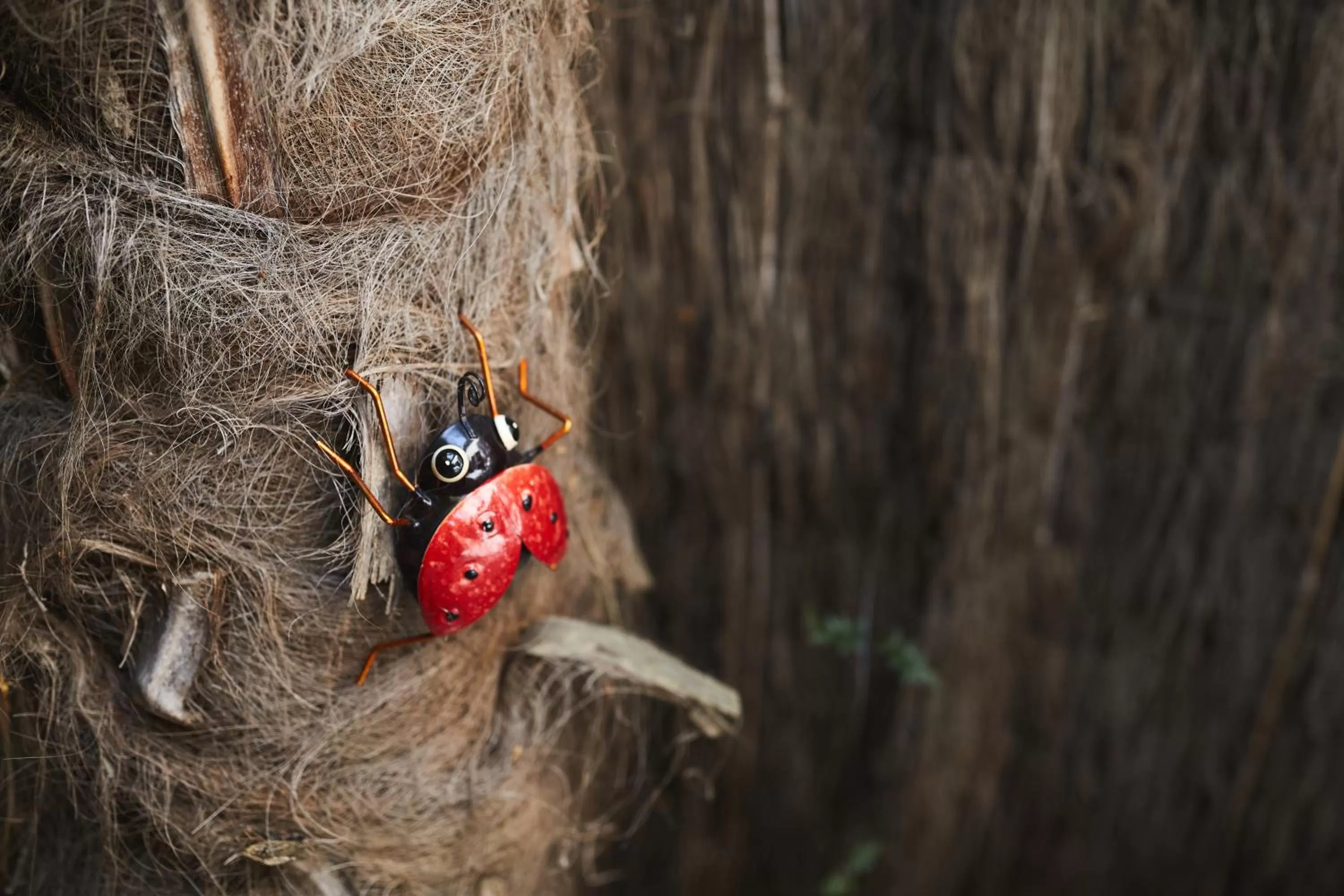 Blenheim Palms Motel