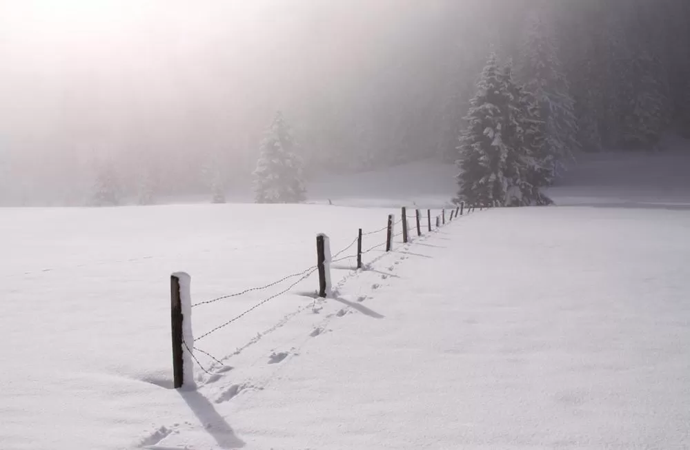 Natural landscape in Bergführerhaus