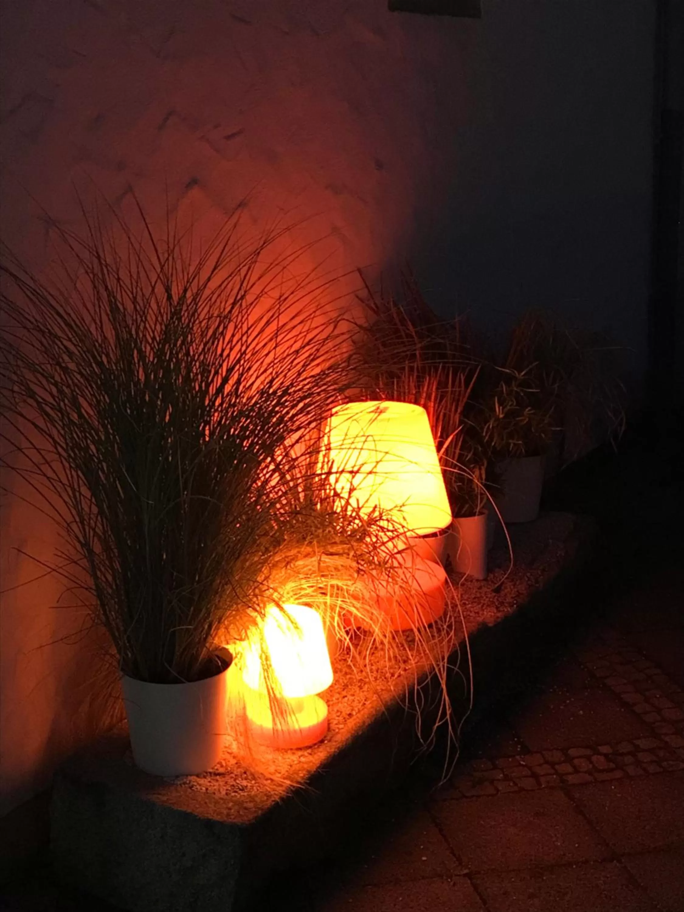 Patio in Hotel Maxplatz