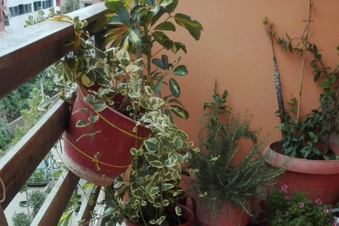 Property building in Home Sweet Home - Guest House