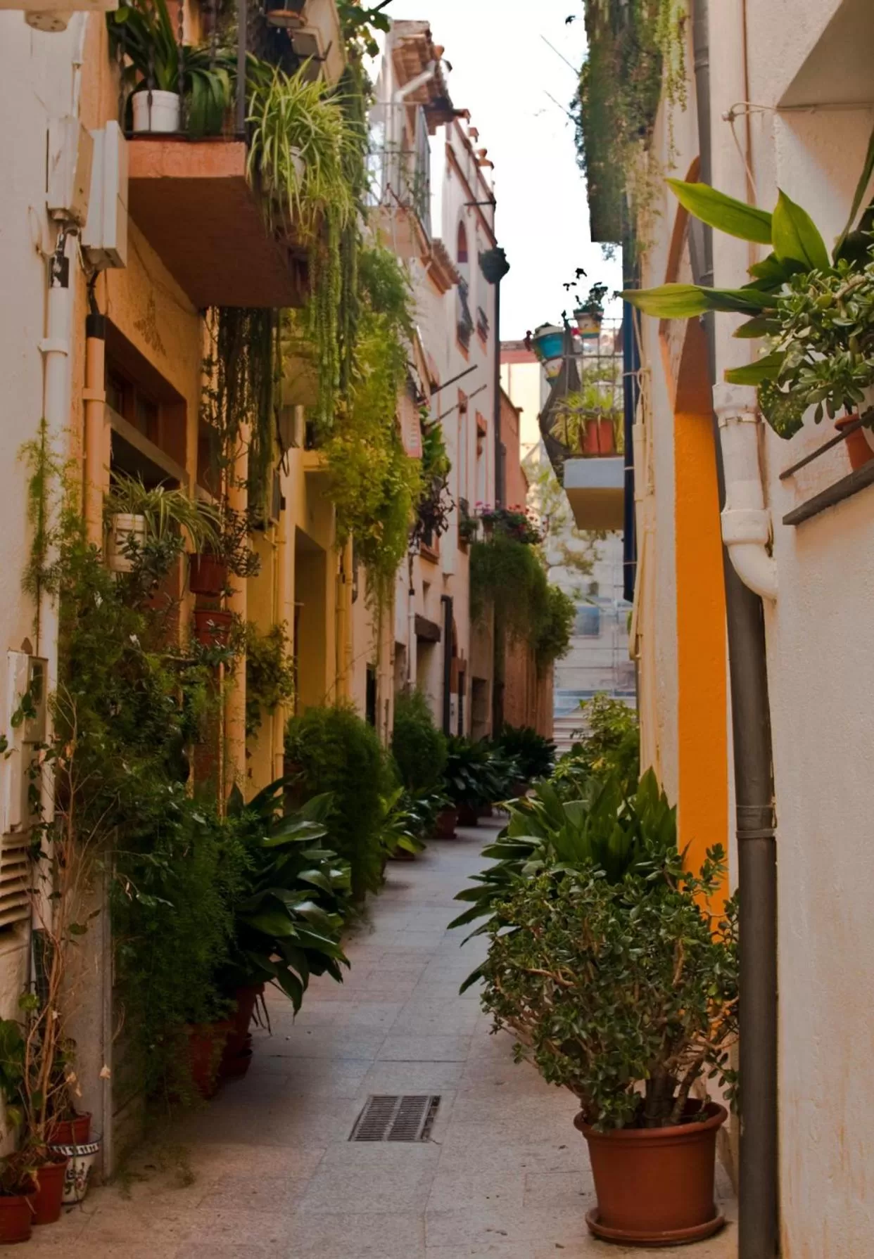 Neighbourhood in Barri Antic Cambrils