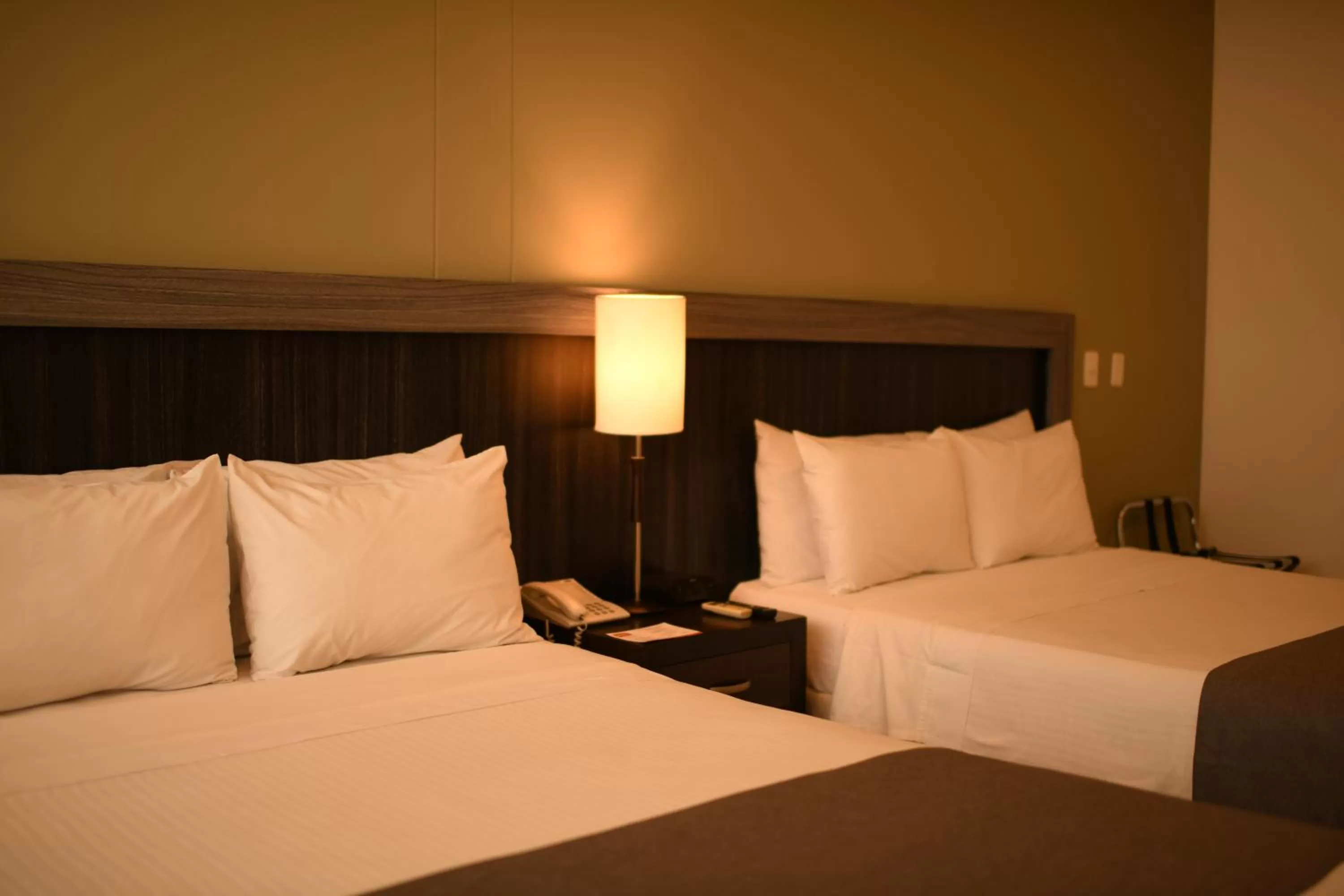 Bed in Best Western Plus Hotel Sandiego