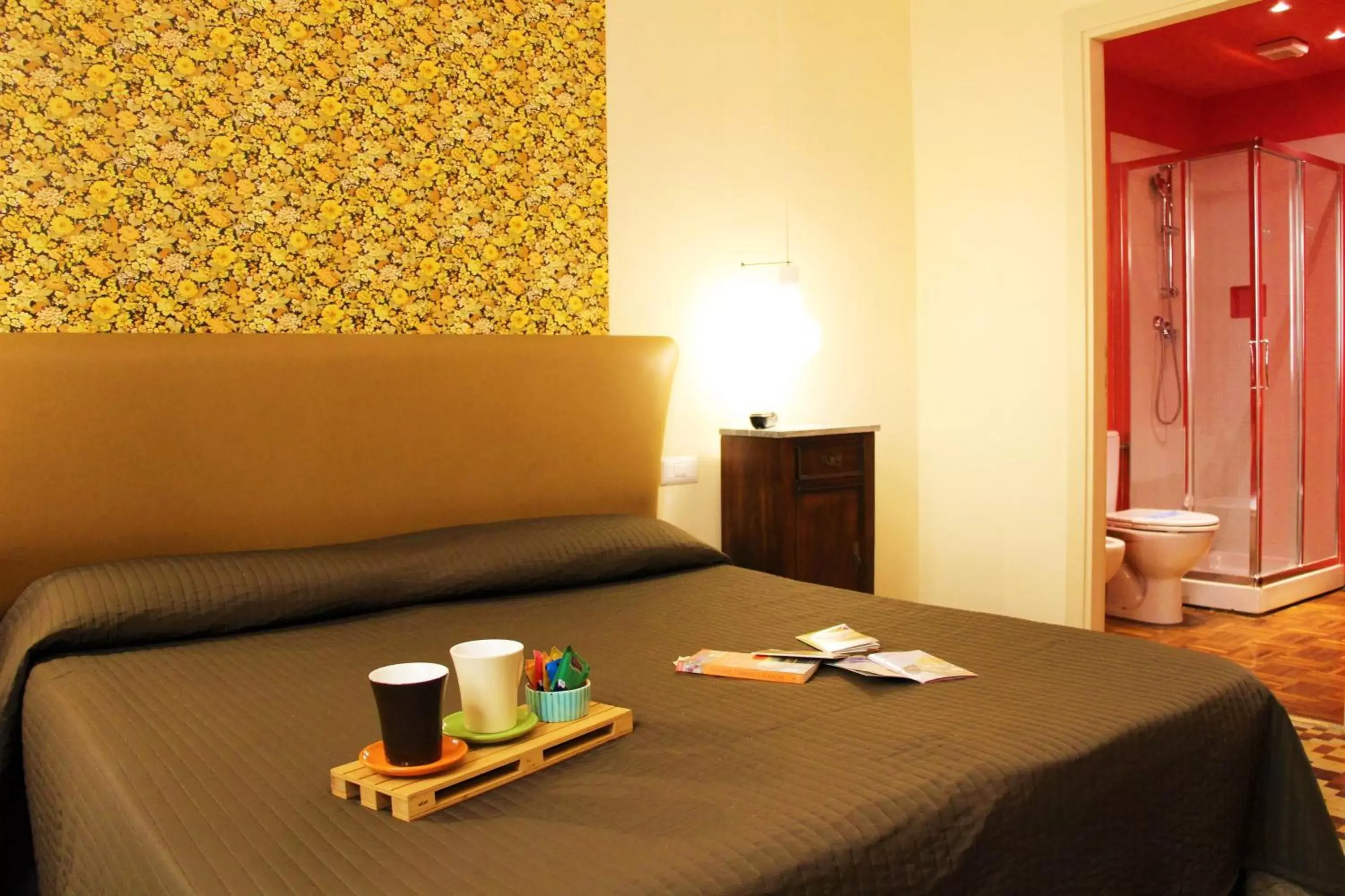 Standard Double Room in Hotel Diana Standard Double Room in Hotel Diana