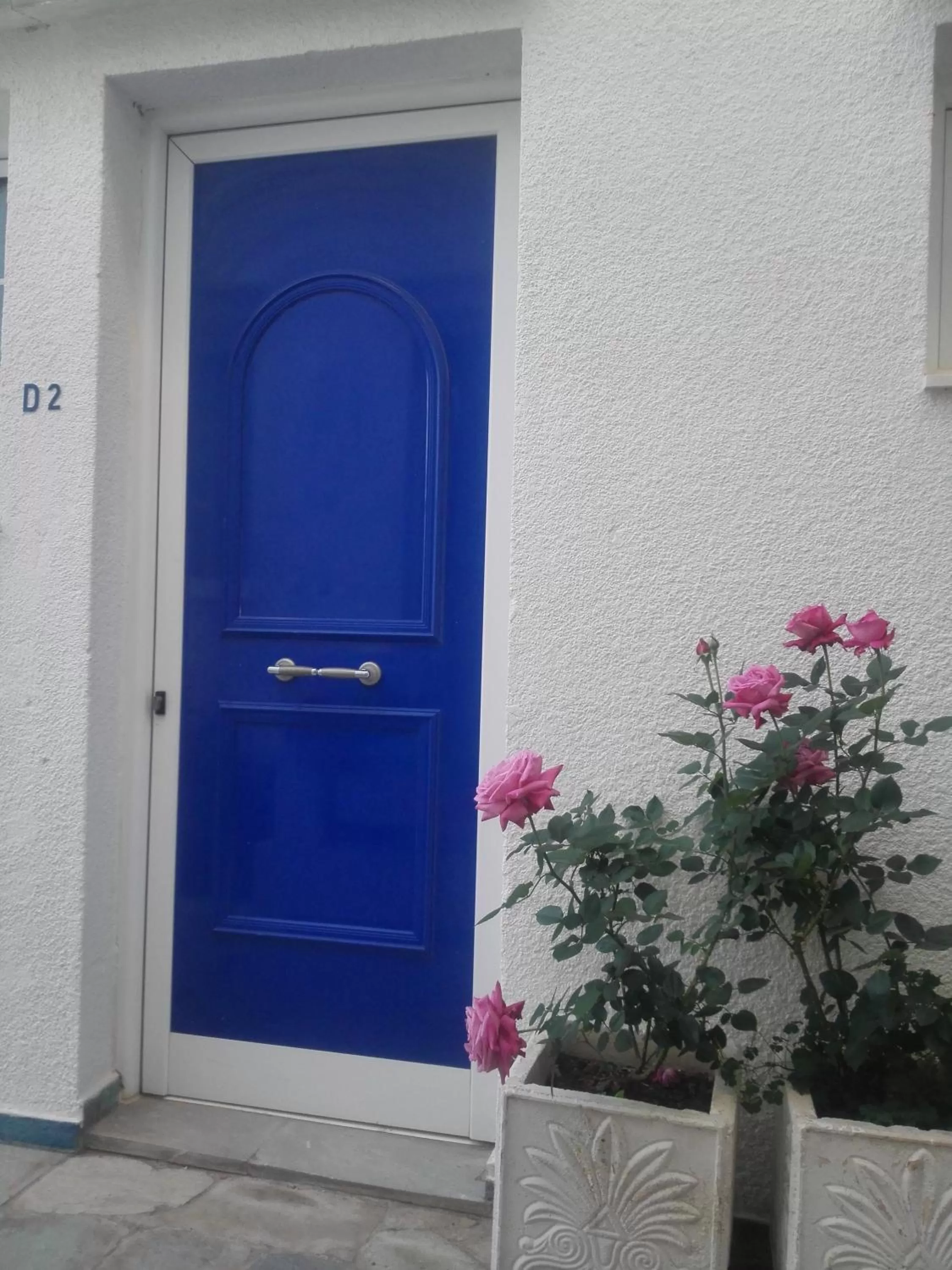 Garden in Rania Studios