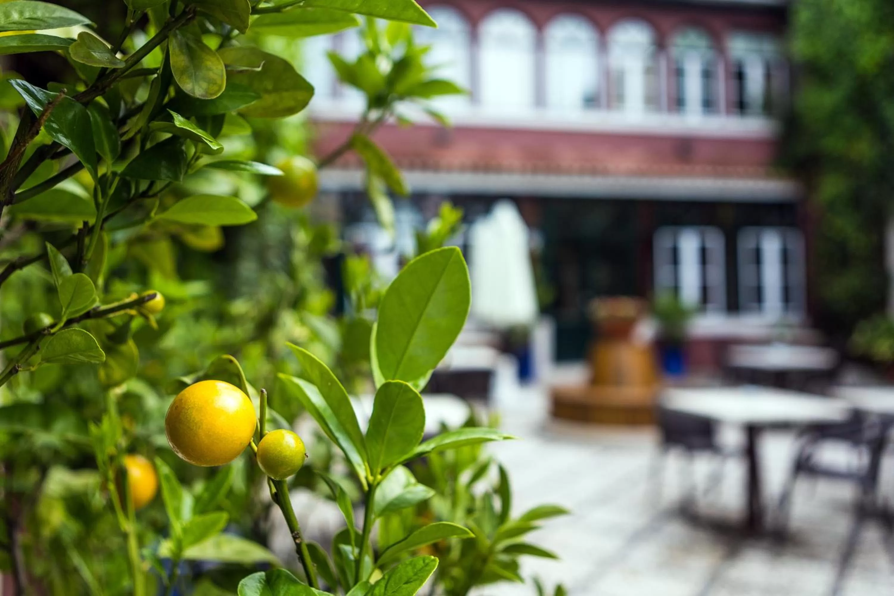Decorative detail in York House Lisboa Hotel