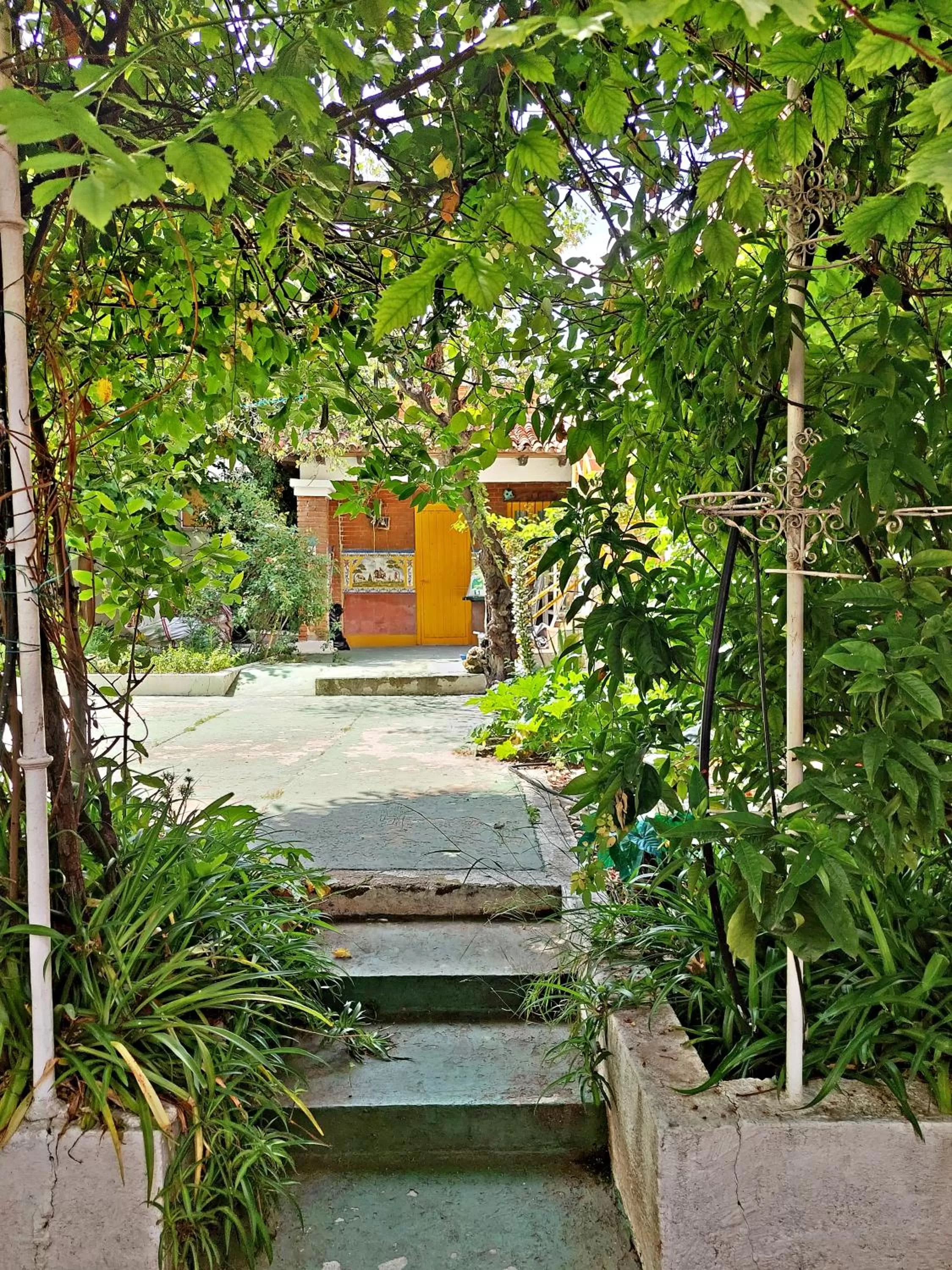 Garden in N1 Casa de Madrid - greenpeace line