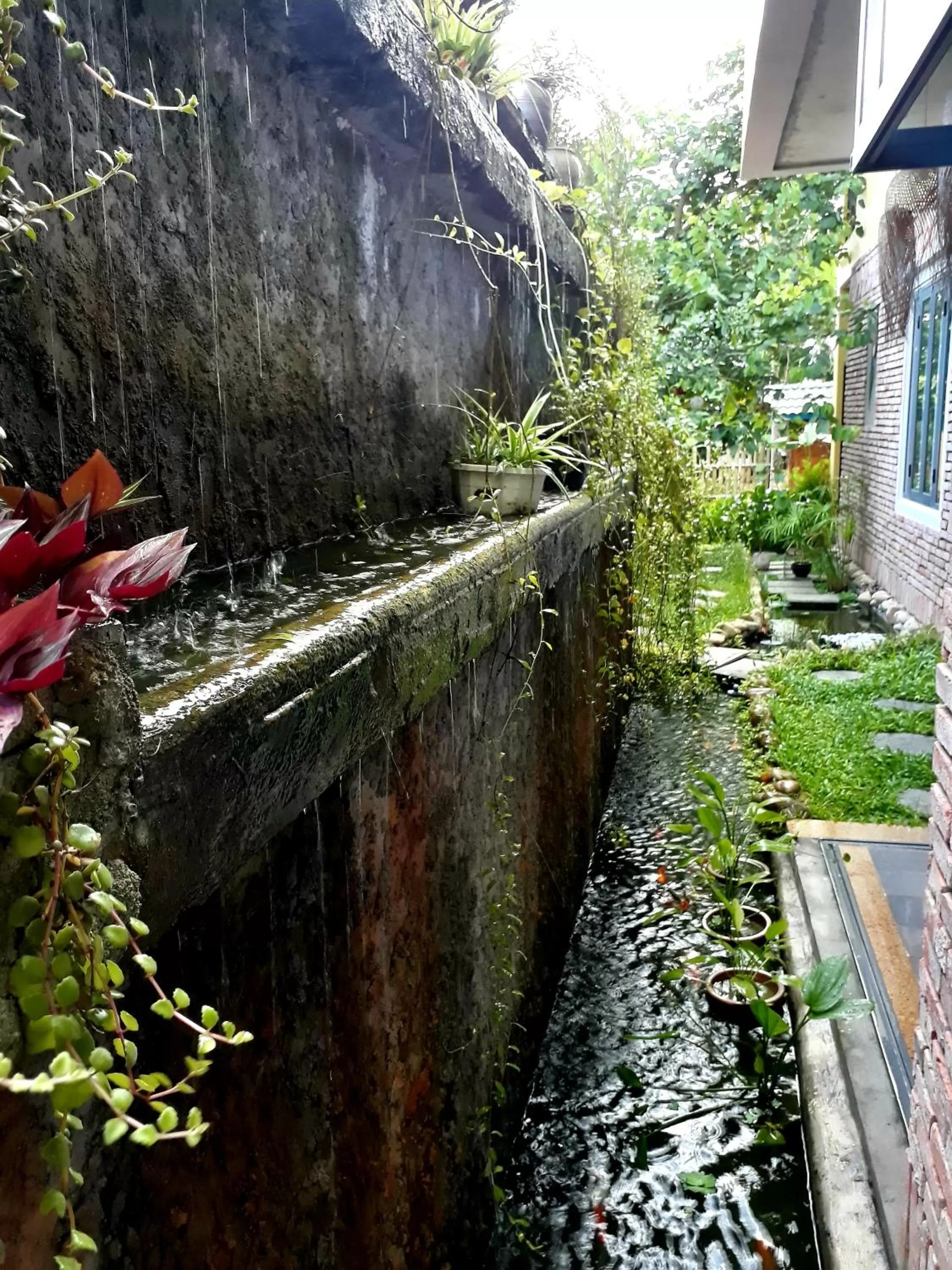 Garden in Pink Tulip Hoi An