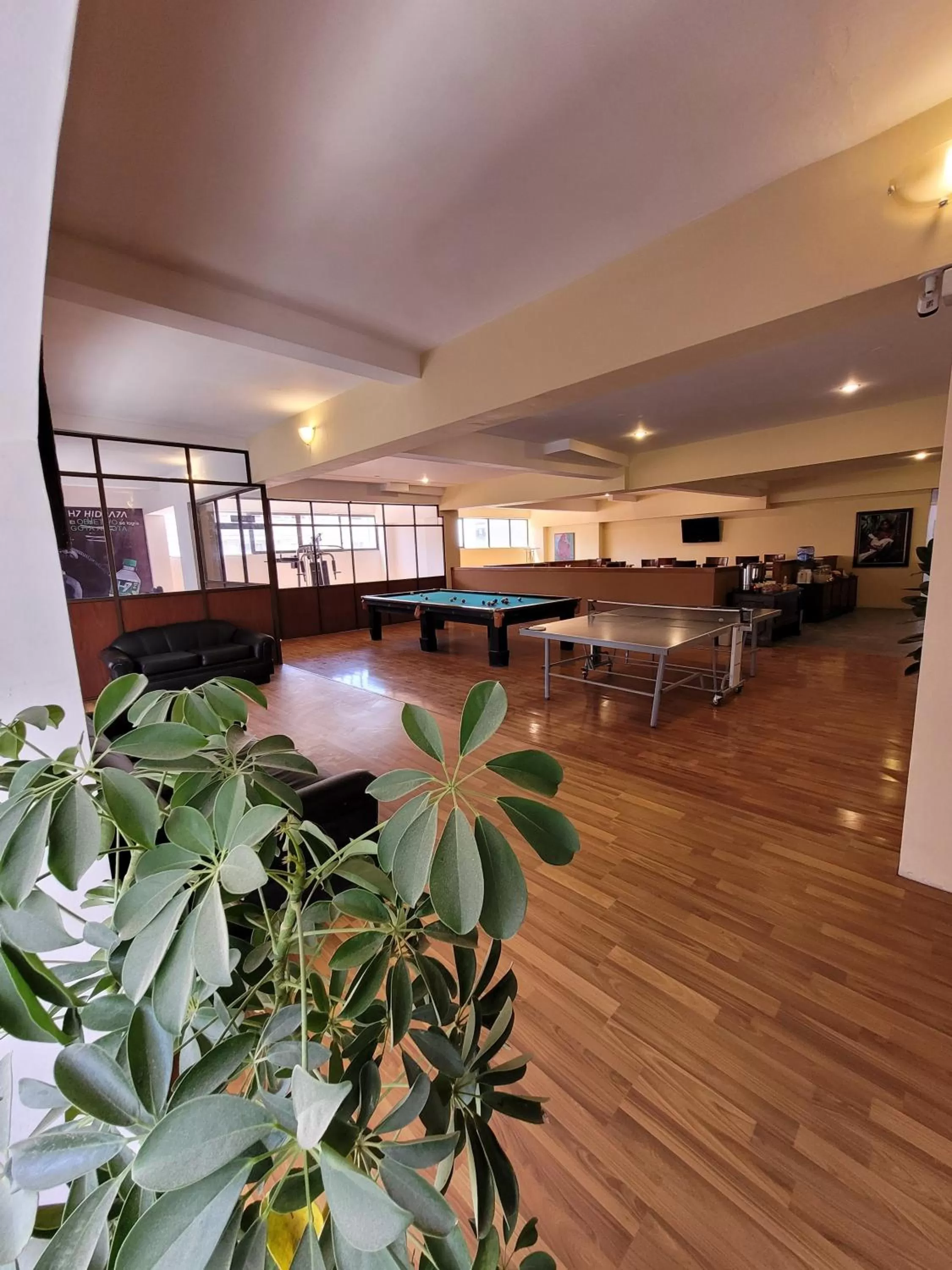 Billiard in Hotel Madrid