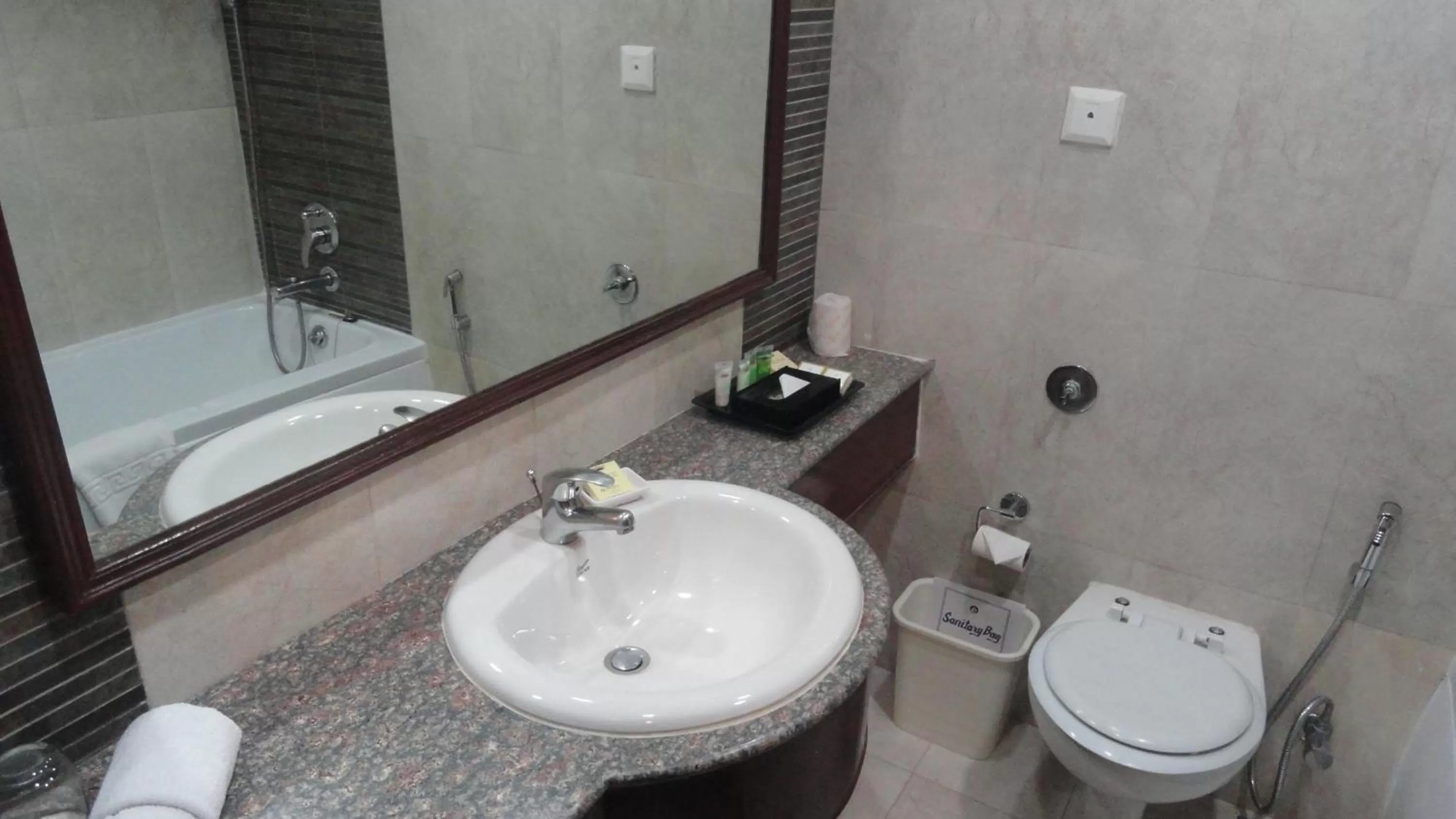 Superior Double Room with 20% discount on food in Hotel Clarks Shiraz