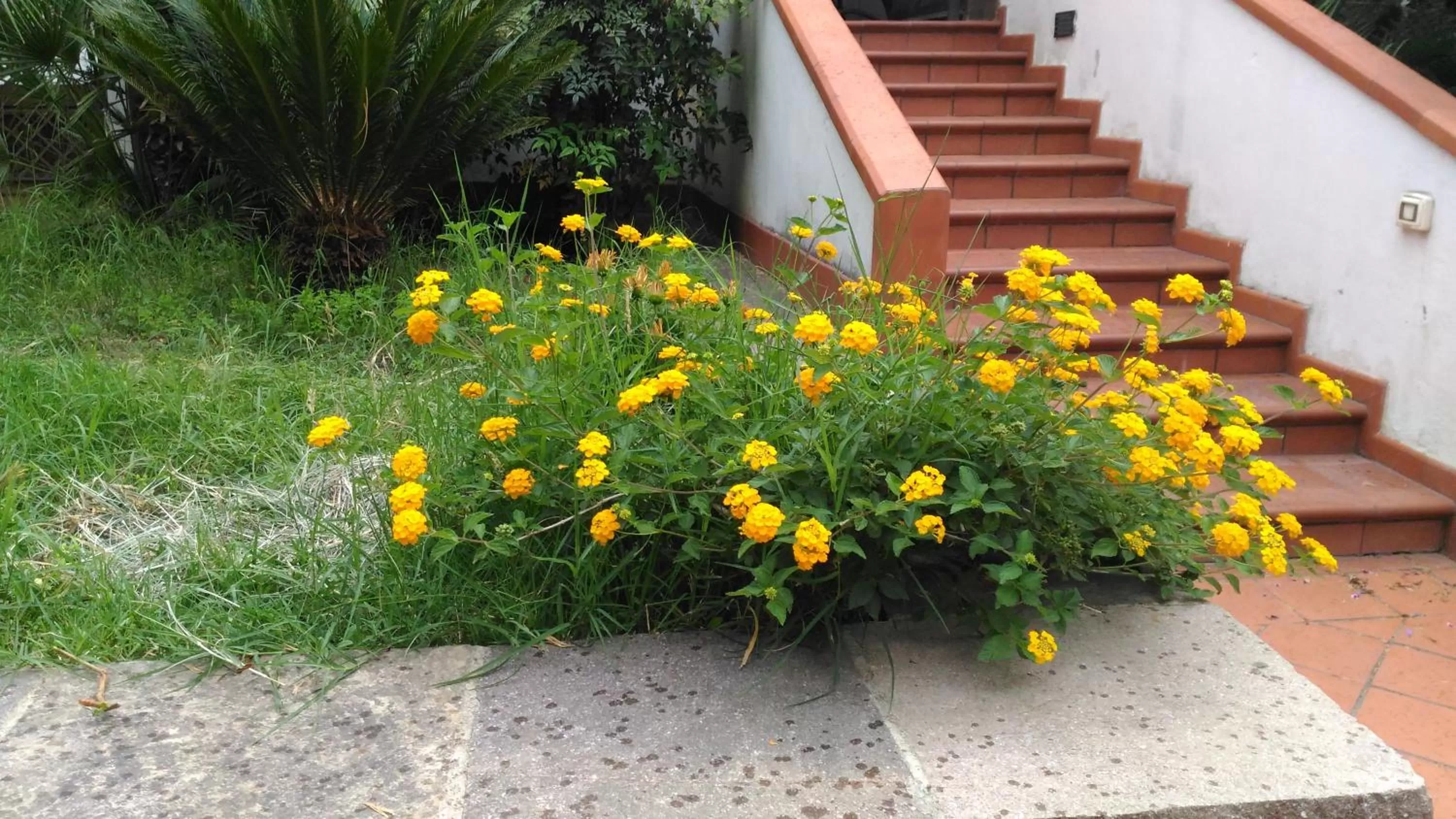 Garden in B&B Pian del Lago