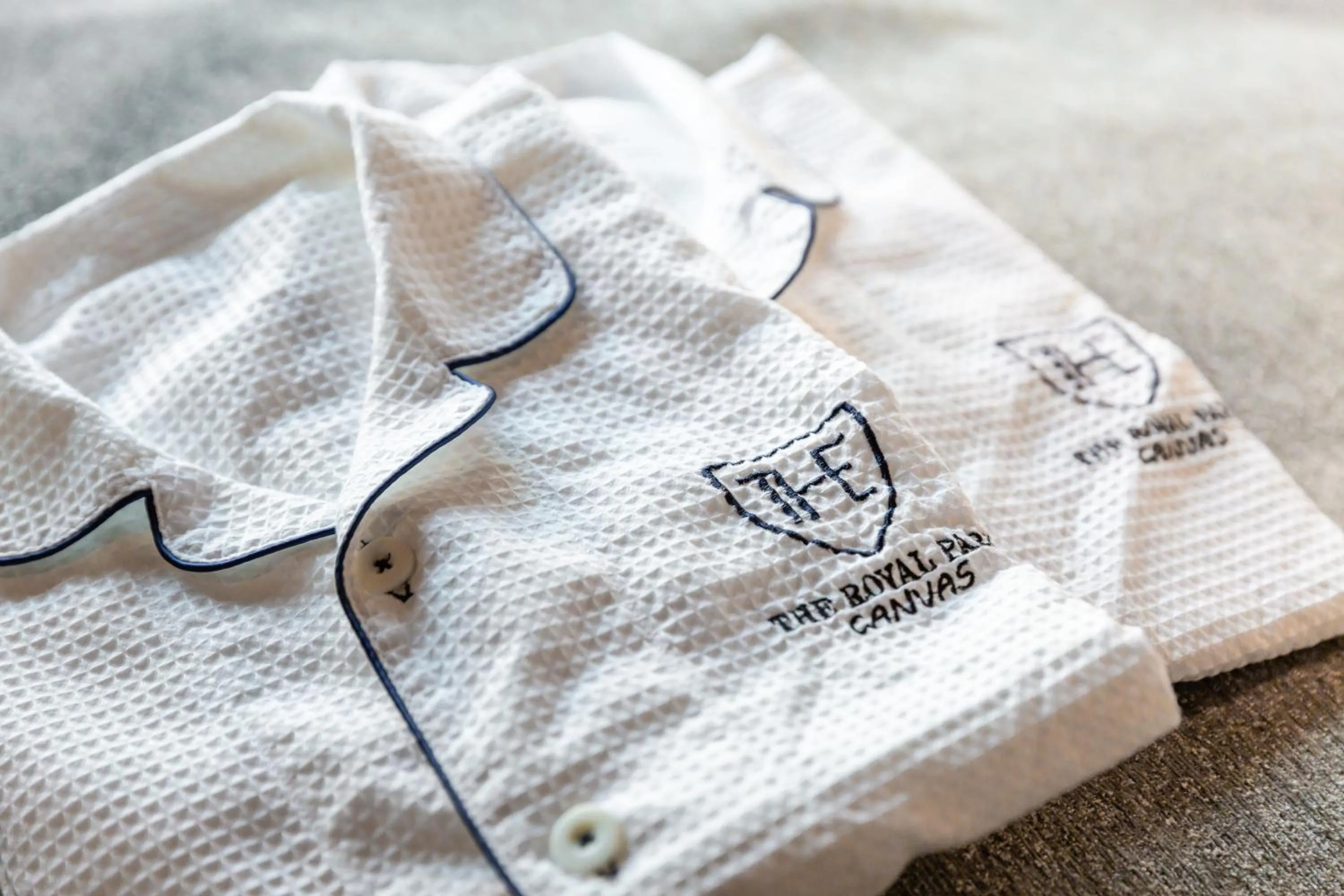 The Royal Park Canvas - Ginza 8