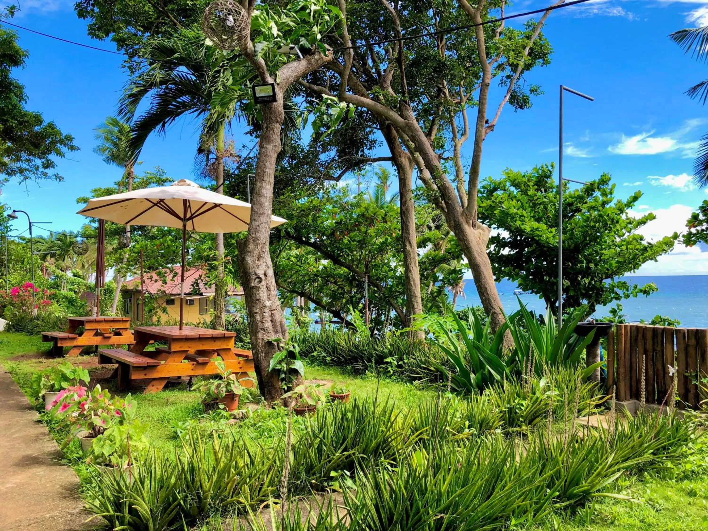 Garden in La Sirenita