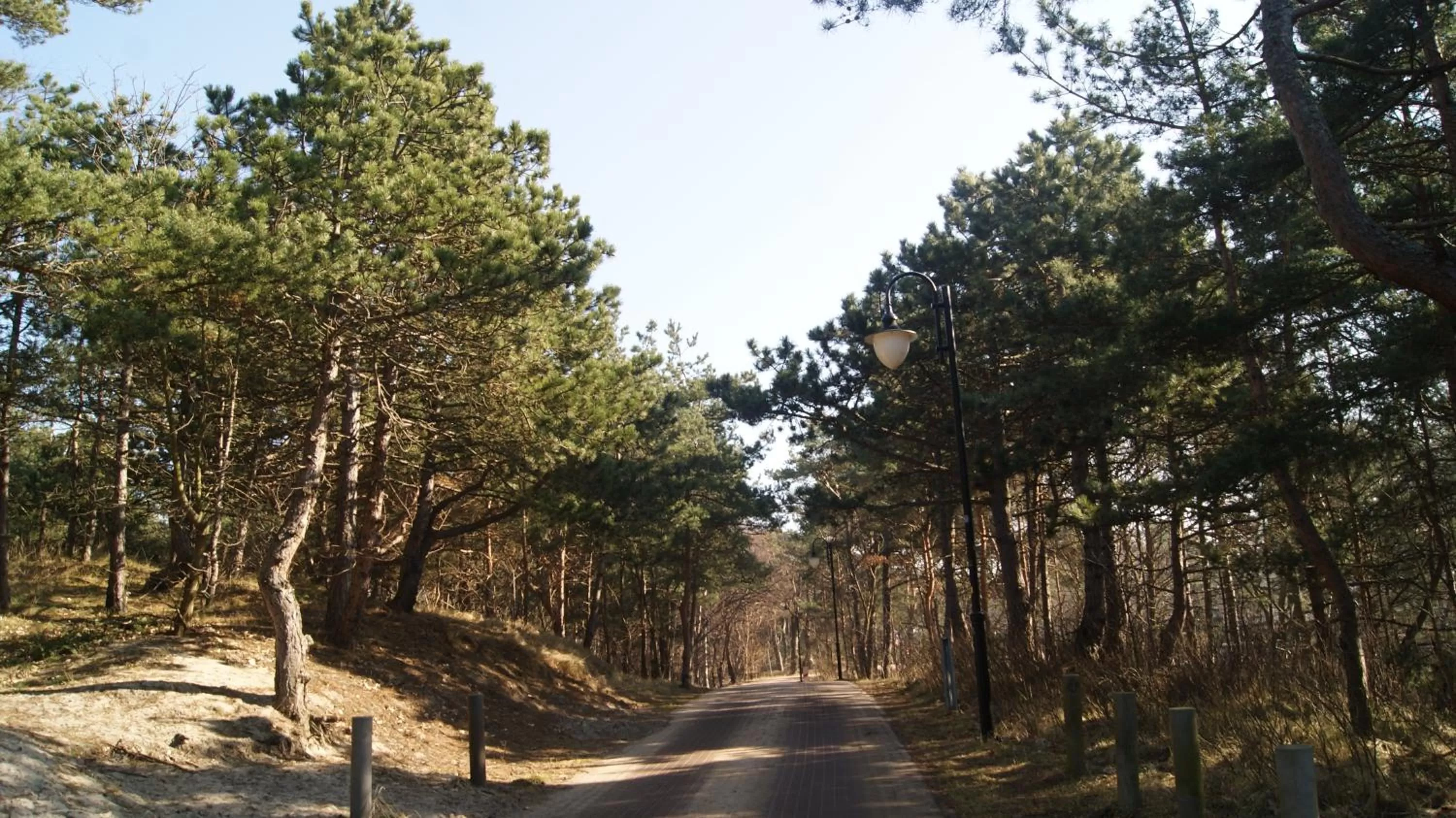 Area and facilities in Hotel Jastarnia