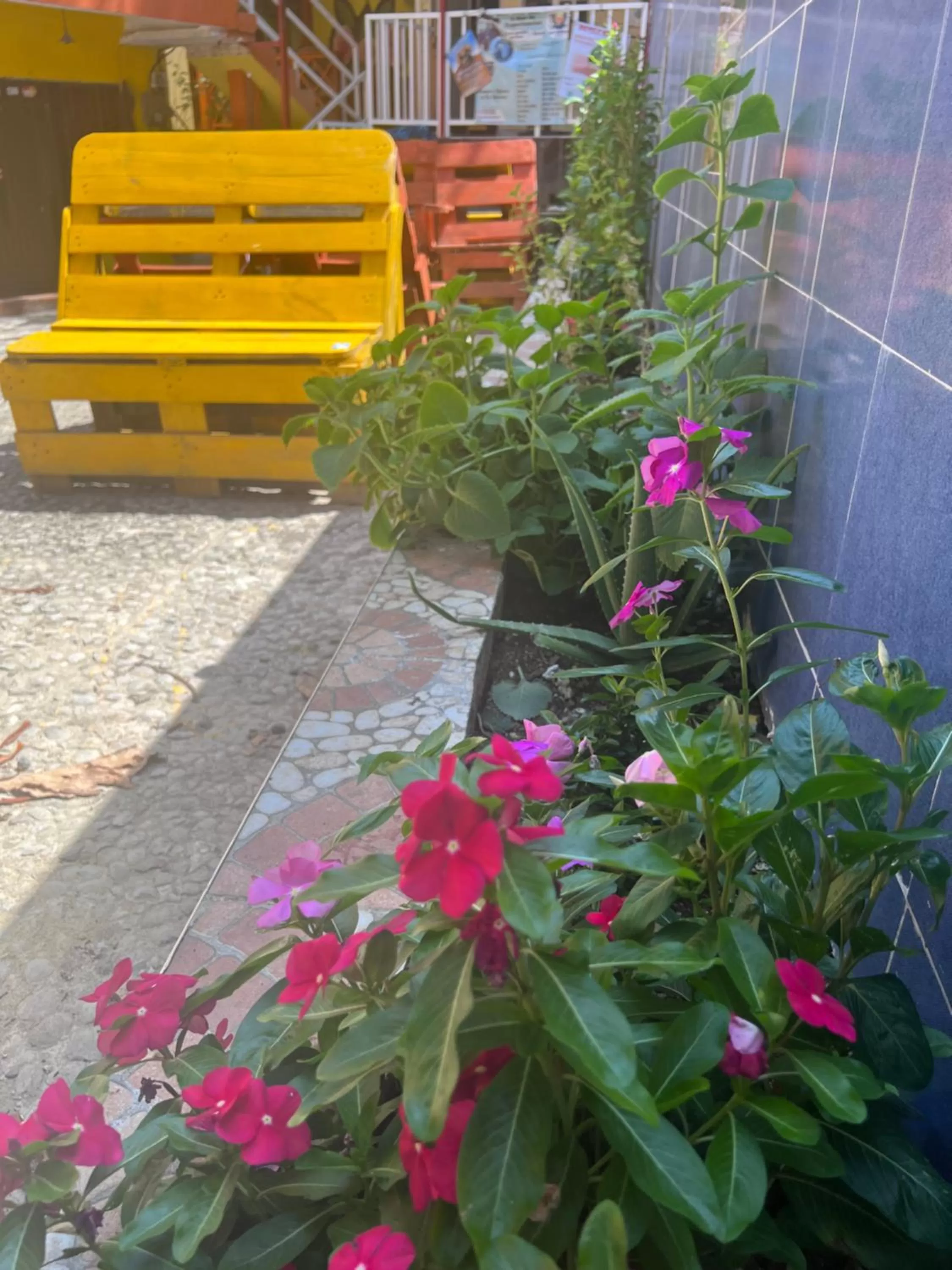 POSADA NATIVA DERMA´S INN