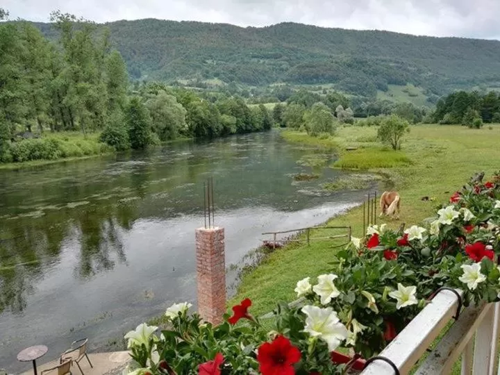 Mountain View in Bed and Breakfast Family Djukic