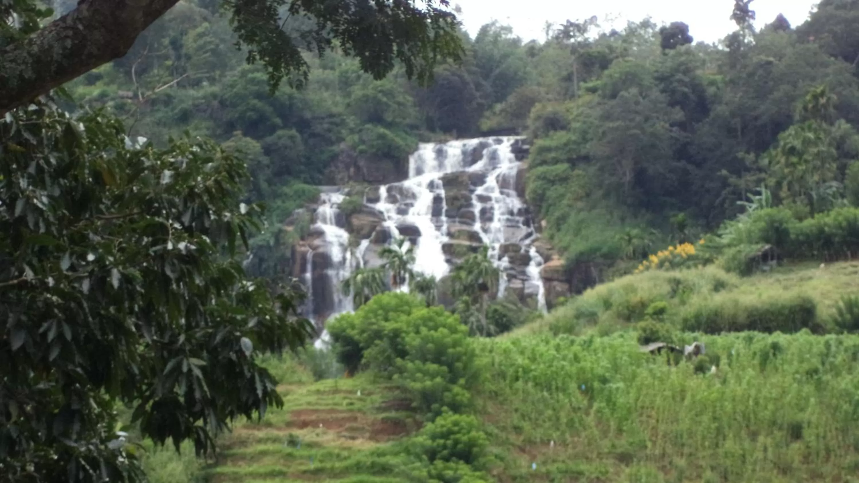 Day, Natural Landscape in Silent Nest