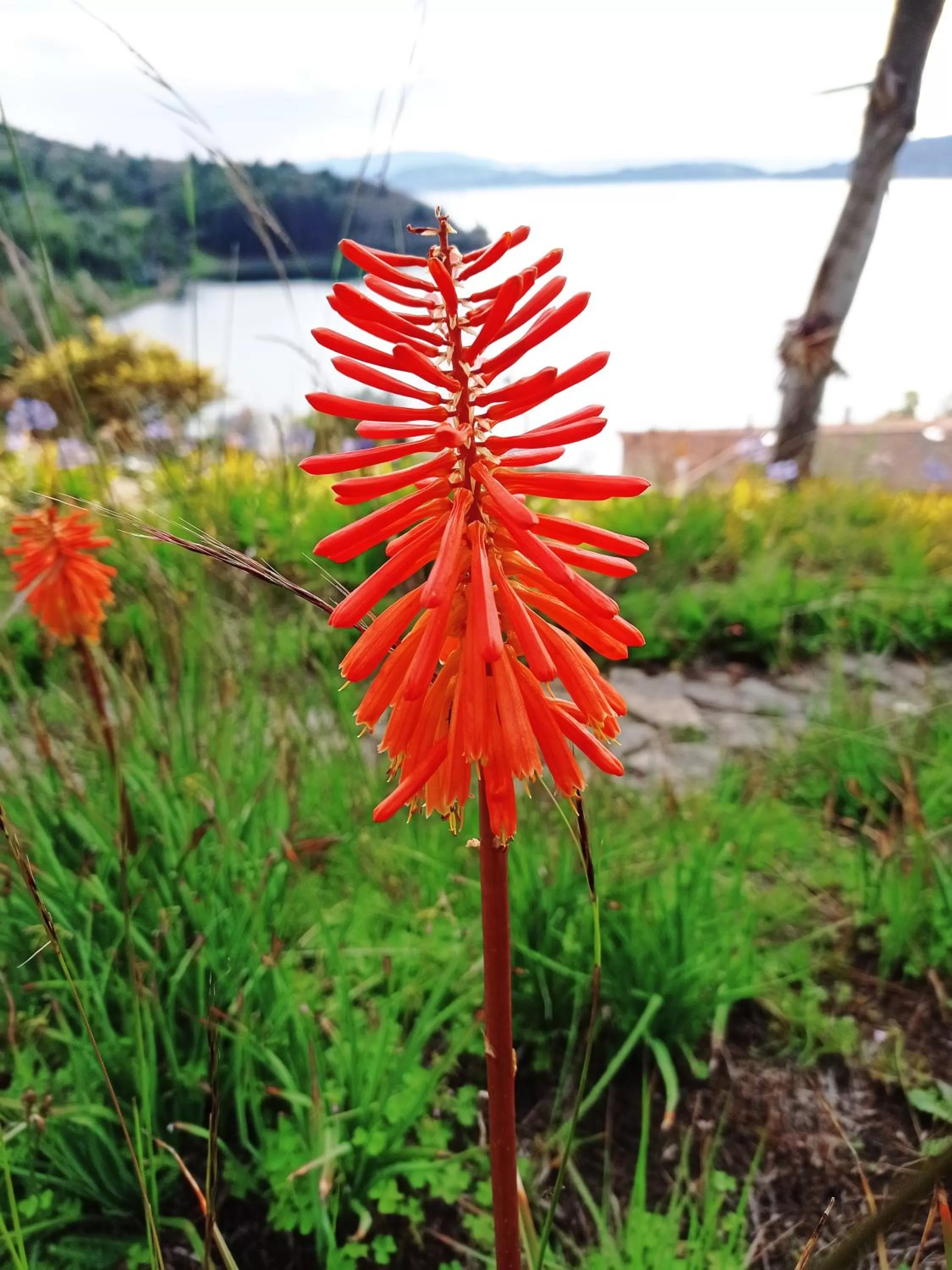 Hotel Refugio Pozo Azul