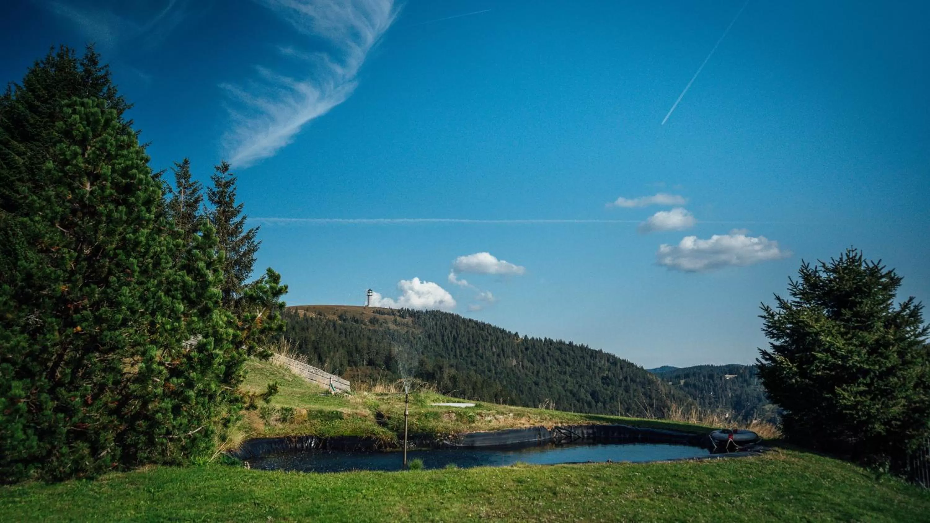 Garden in Berggasthof zur Todtnauer Hütte