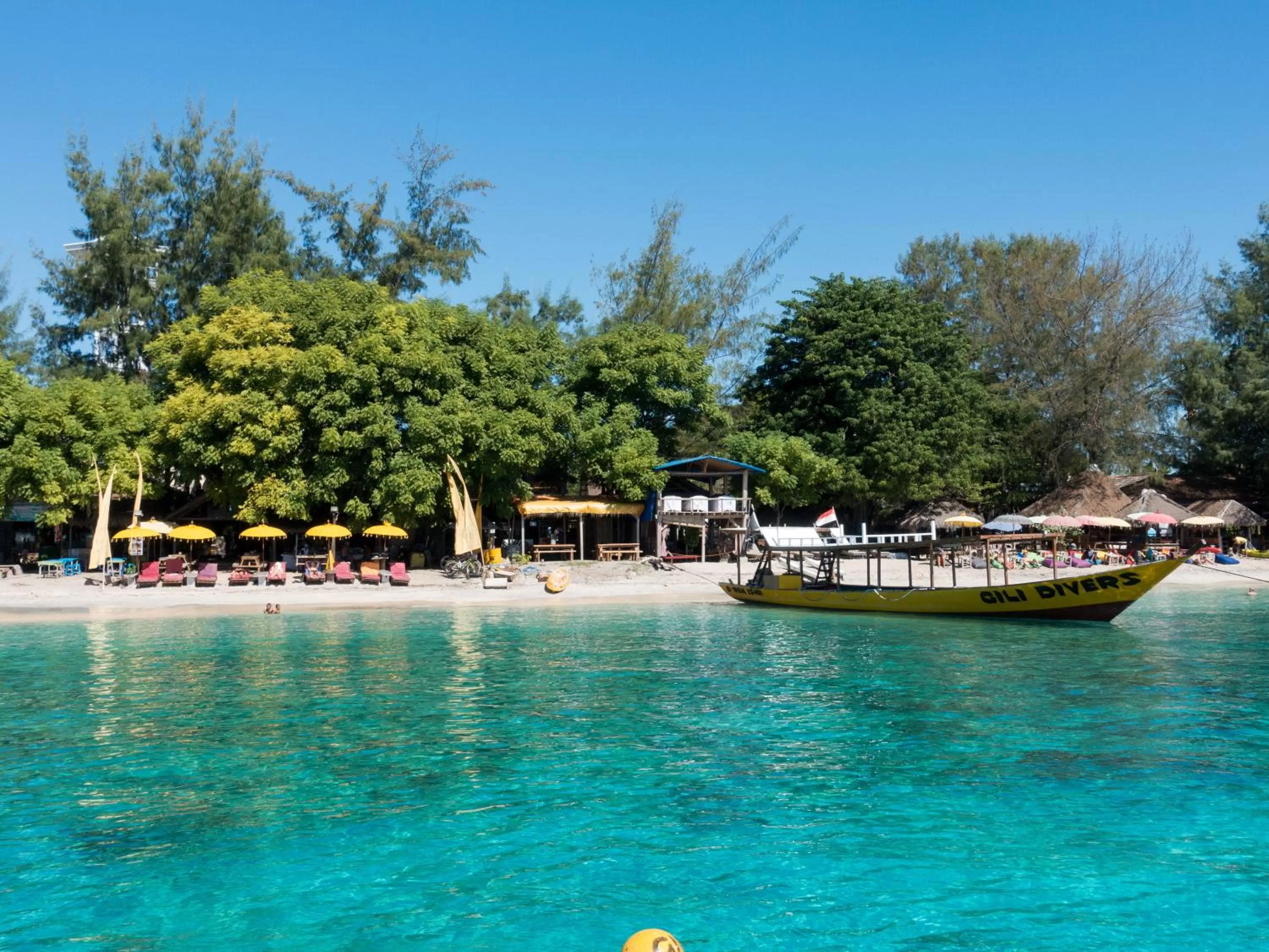 Beach, Swimming Pool in Gili Divers Hotel
