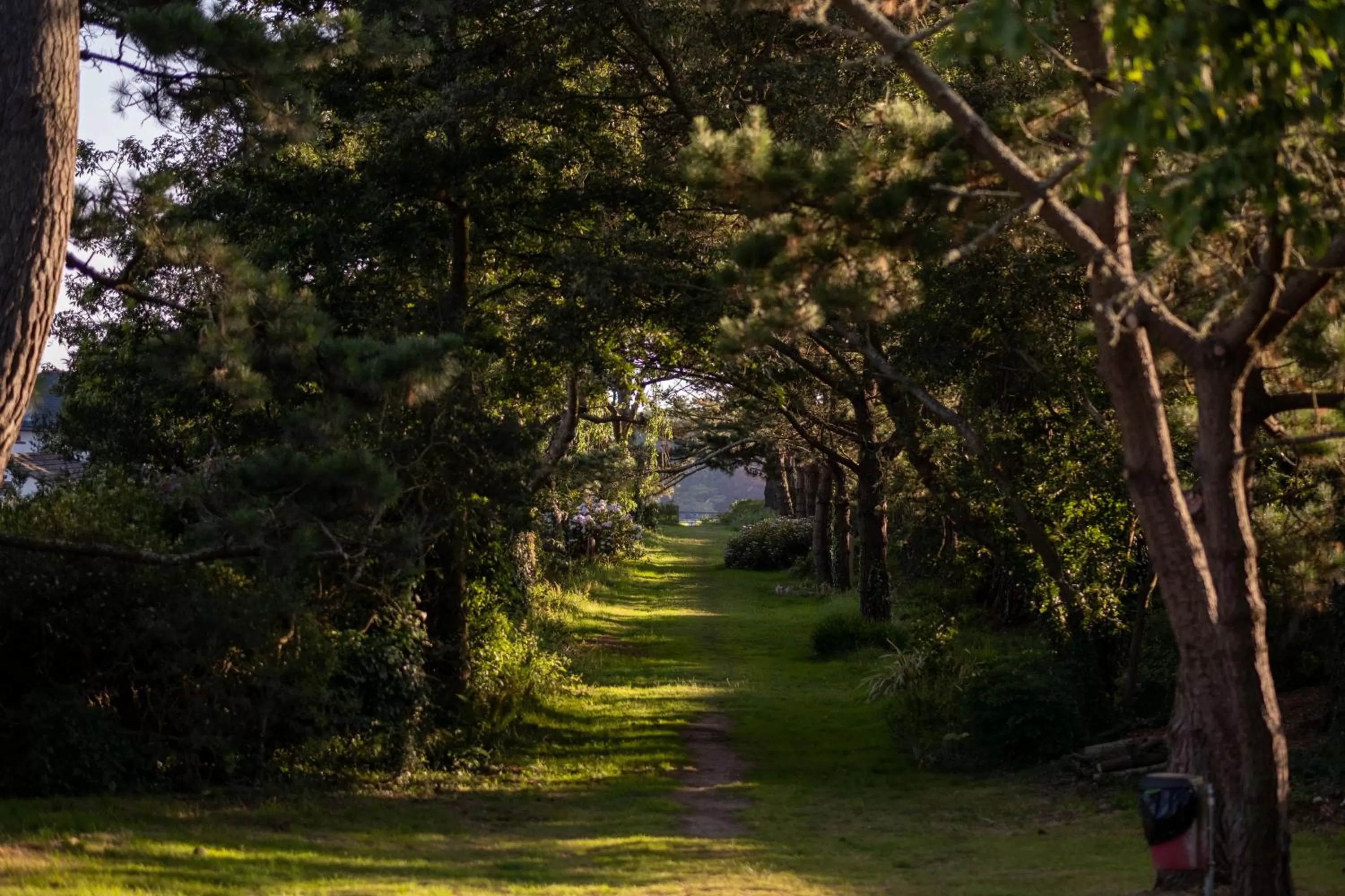 Day in Fowey Hall Hotel