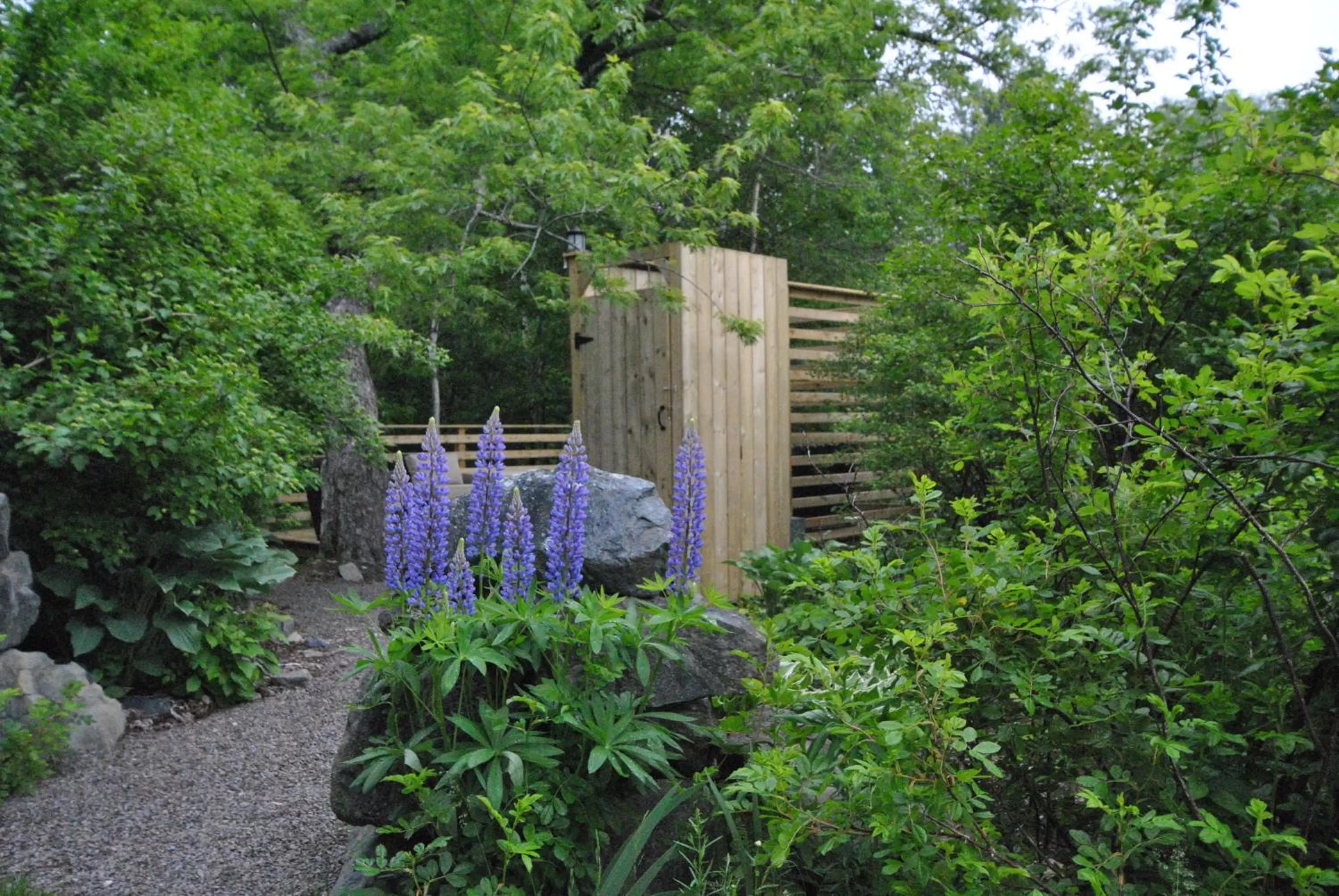 Natural landscape in Dominion Hill Country Inn