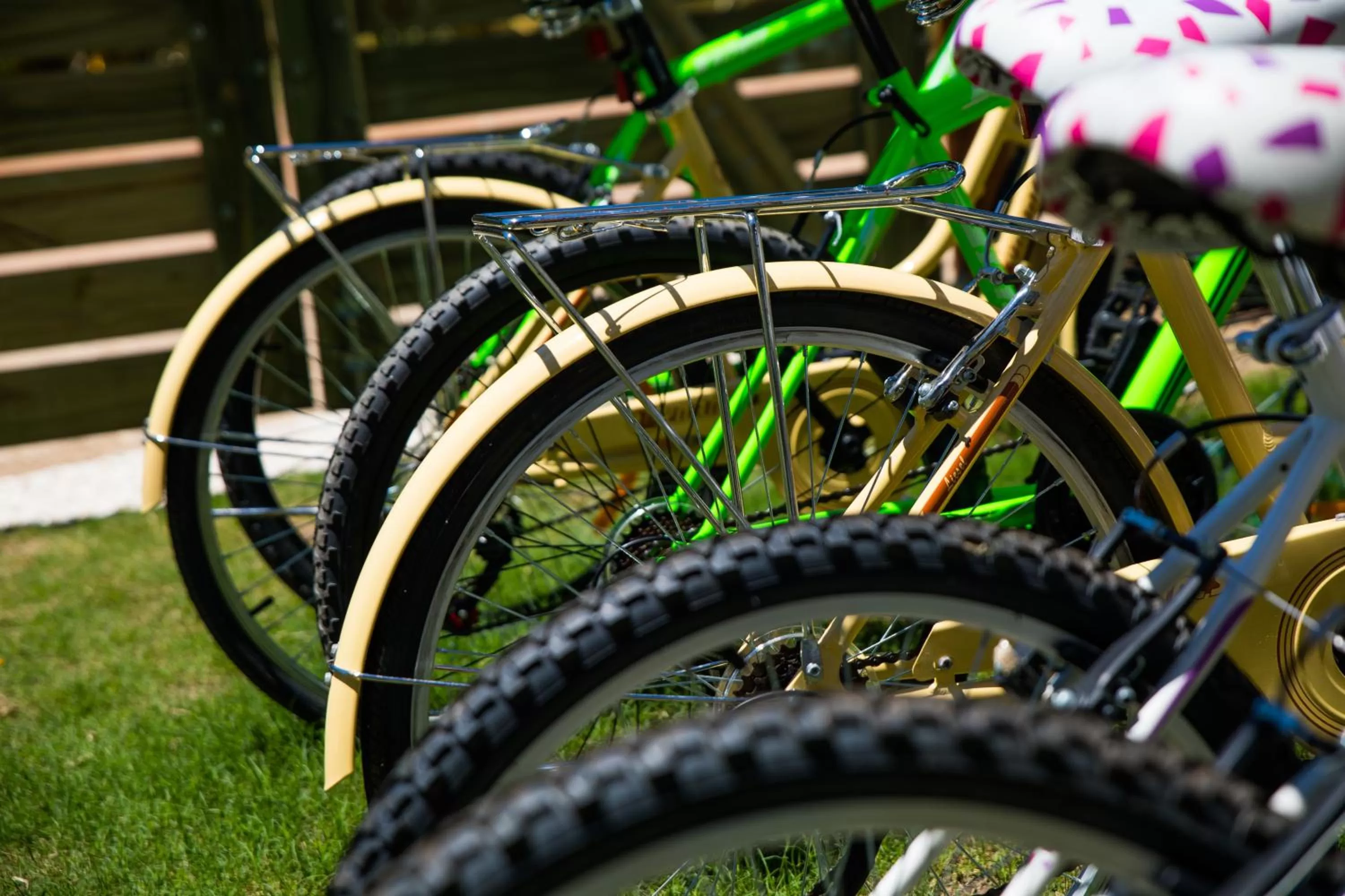 Other in Cara Colomba