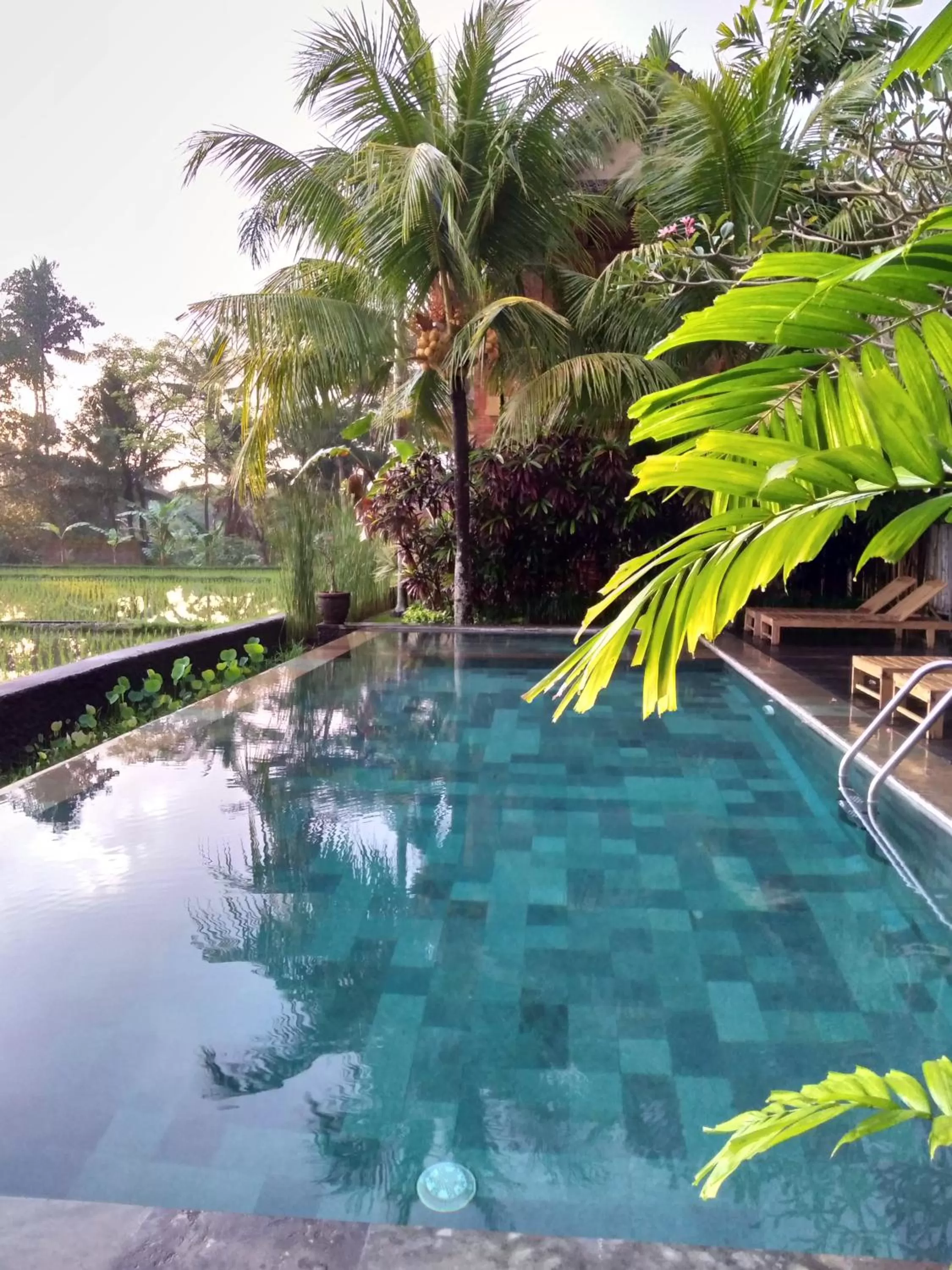 Swimming Pool in Ubud Lestari Bungalows