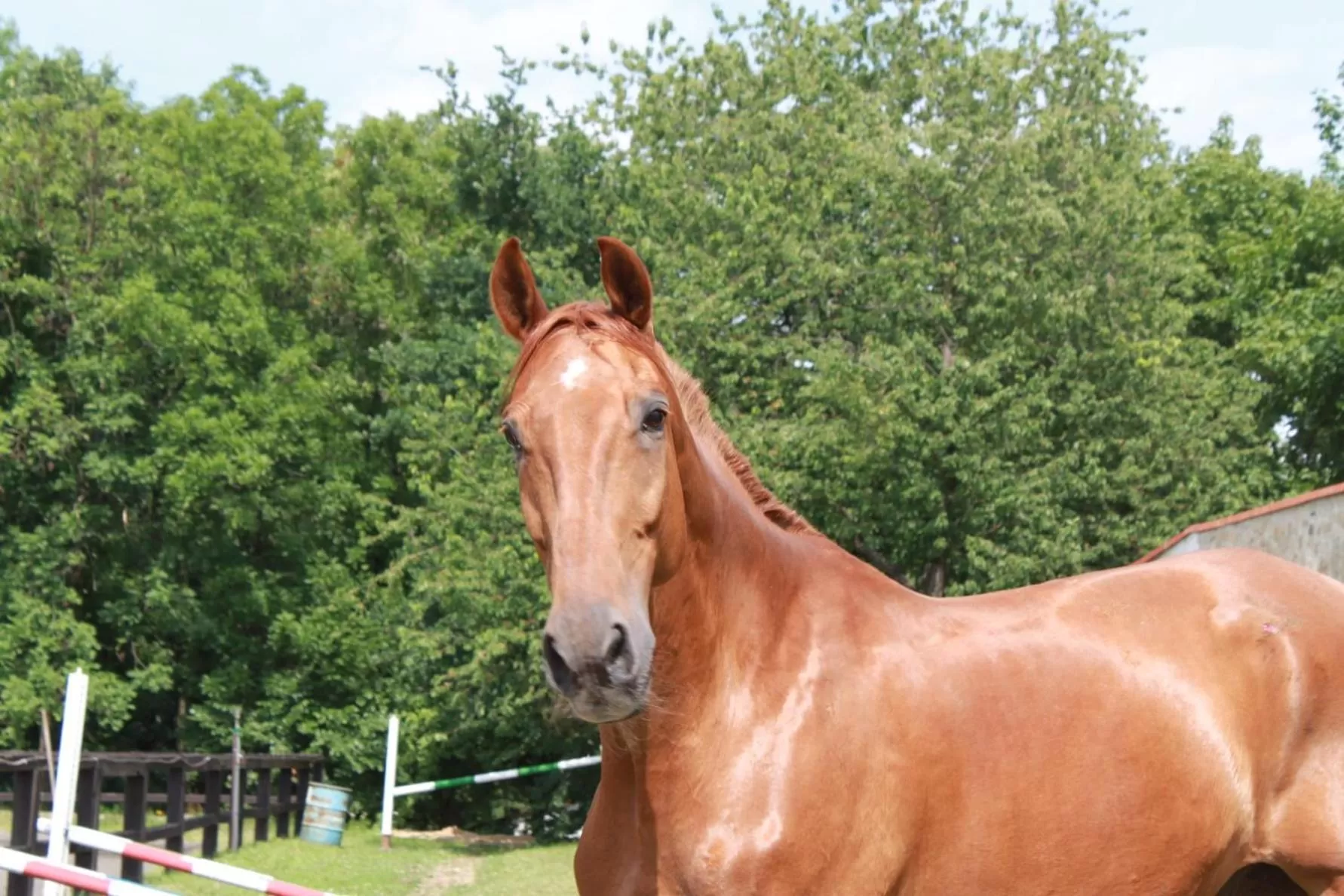 Nearby landmark in Pytloun Chateau Hotel Ctěnice