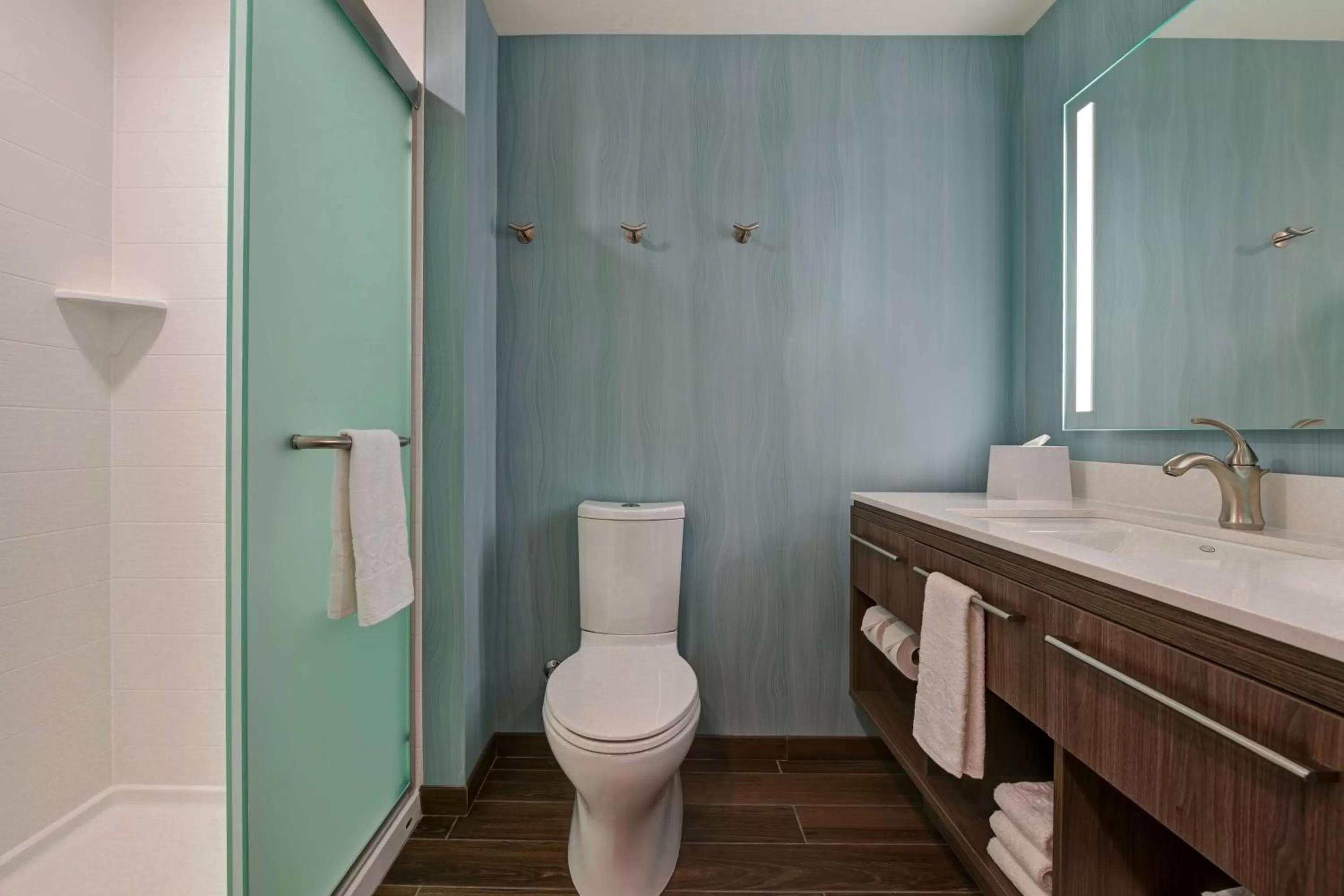 Bathroom in Home2 Suites By Hilton Atascadero, Ca