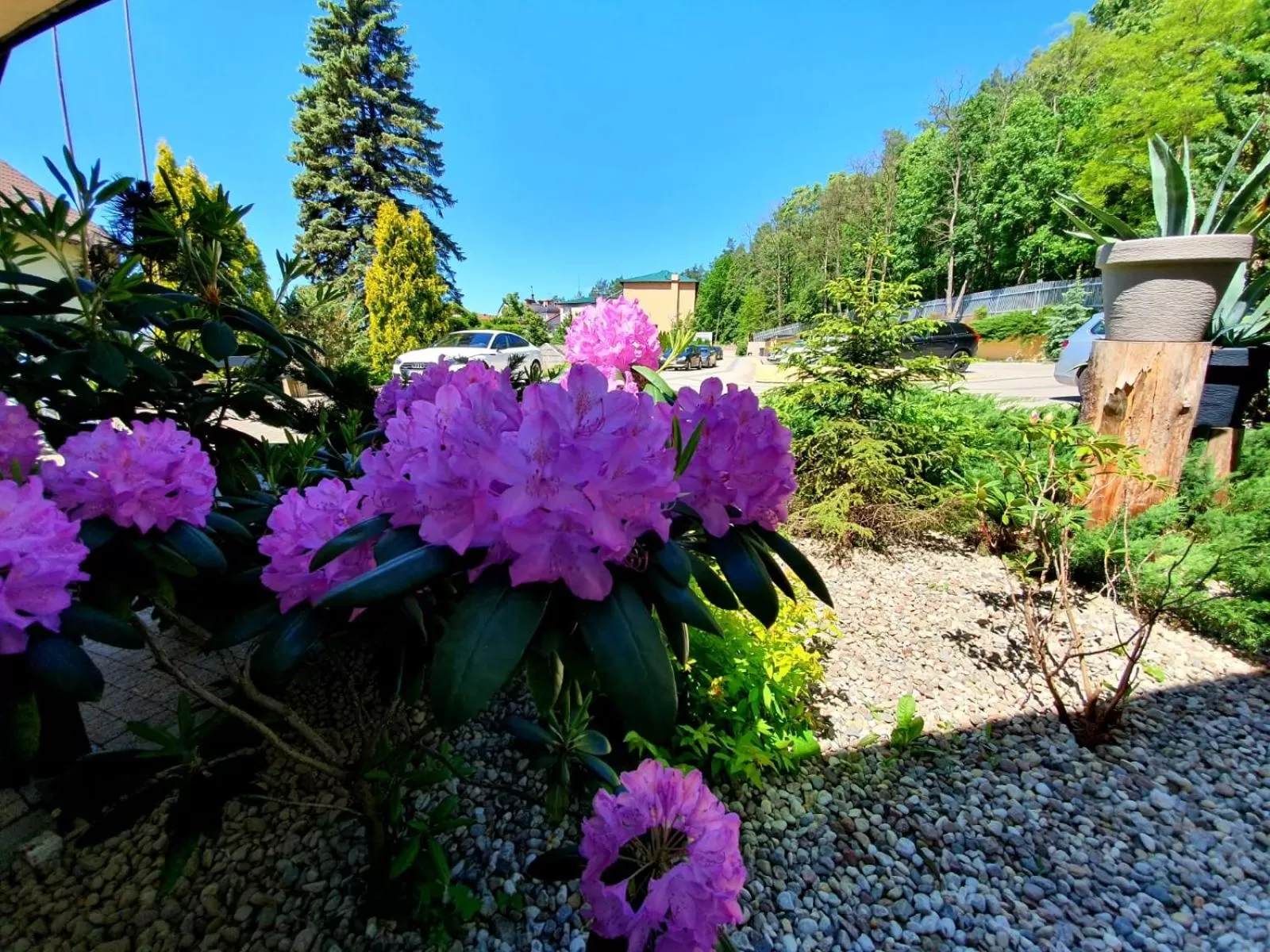 On site in Hotel Mazuria Country & SPA