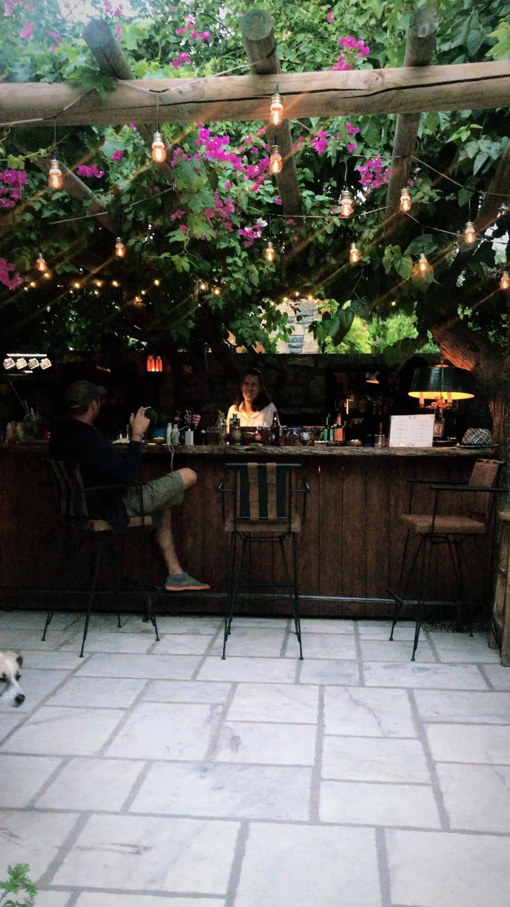 Lounge or bar, Restaurant/Places to Eat in Ha La Bodrum