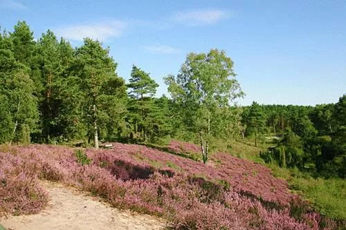 Day in Biohotel Spöktal