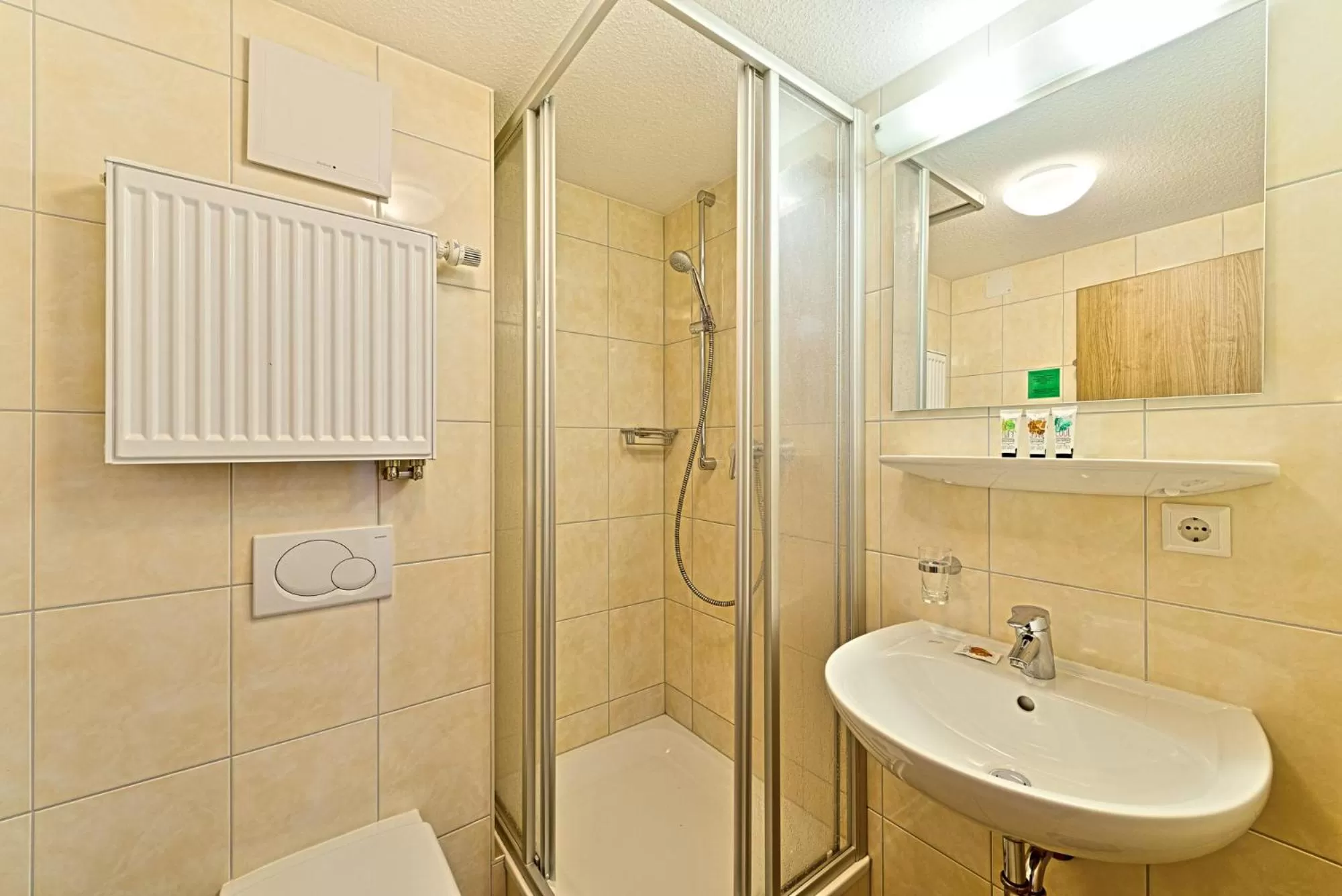 Toilet in Sapia Hotel St. Fridolin