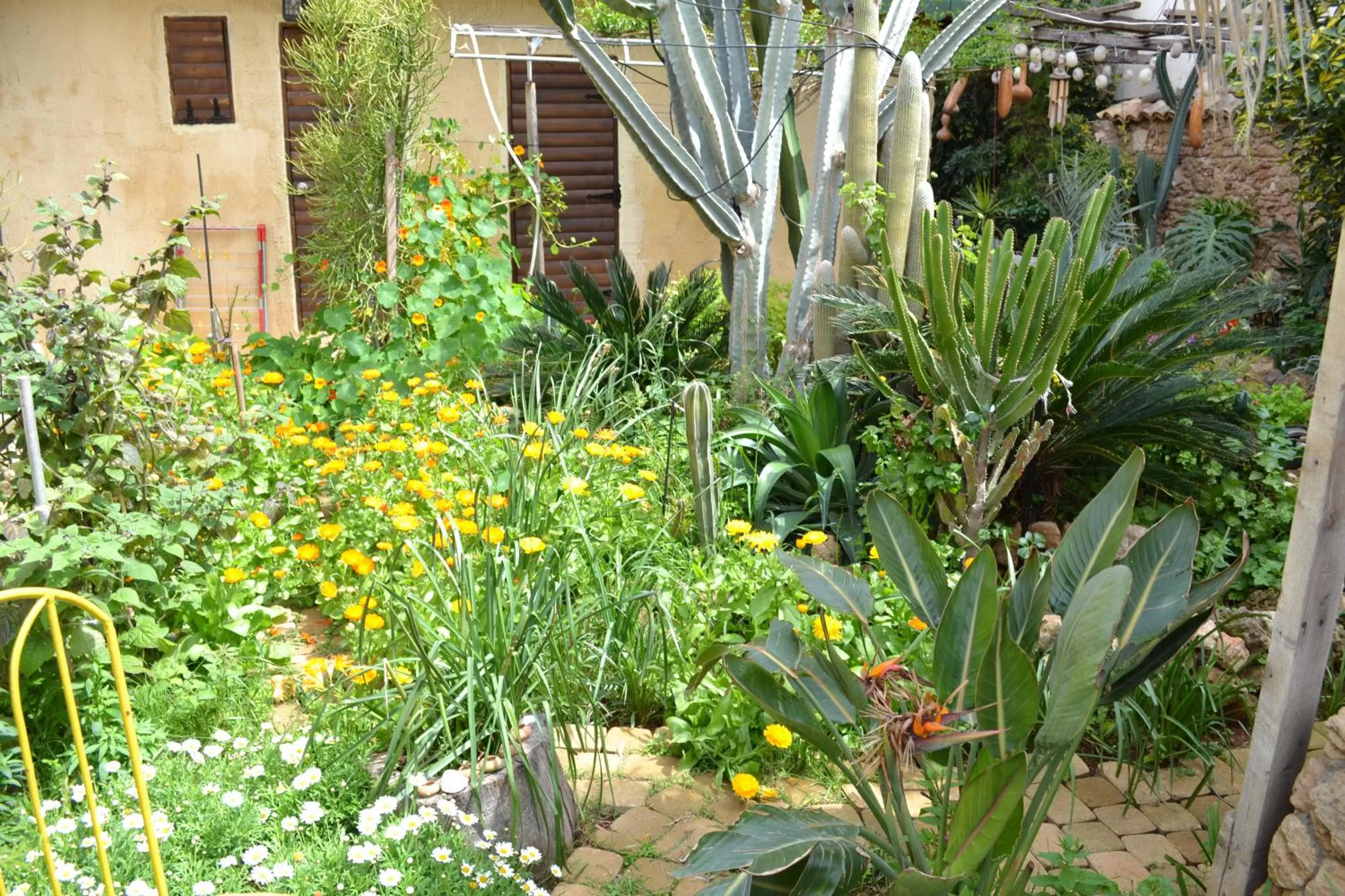 Garden in Mystery Garden Guest House