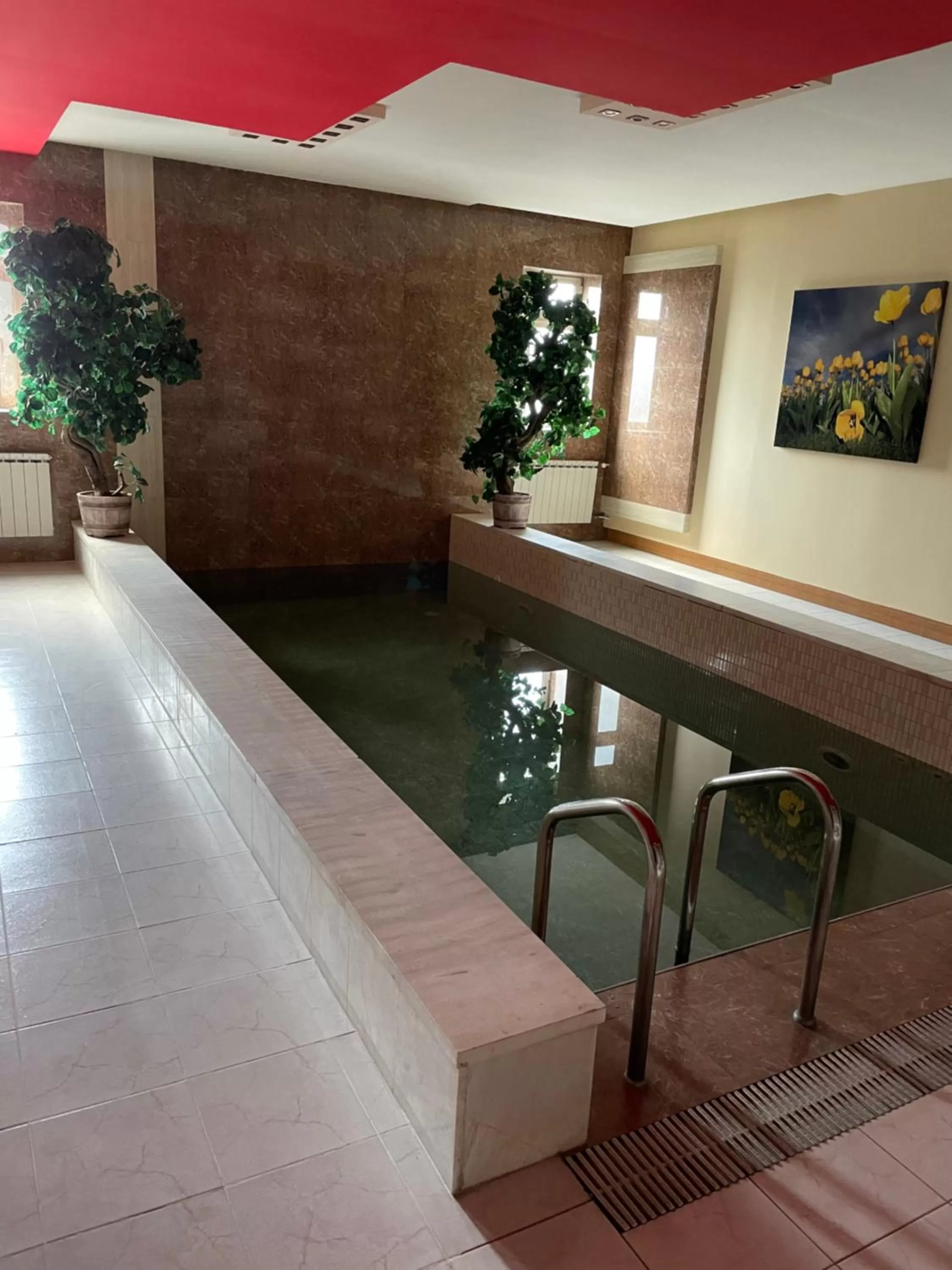 Swimming Pool in NO PROBLEM